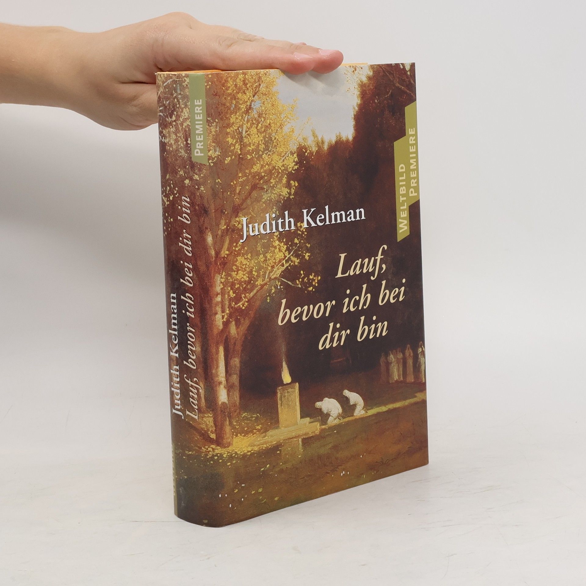 Judith Kelman Lauf, bevor ich bei dir bin
