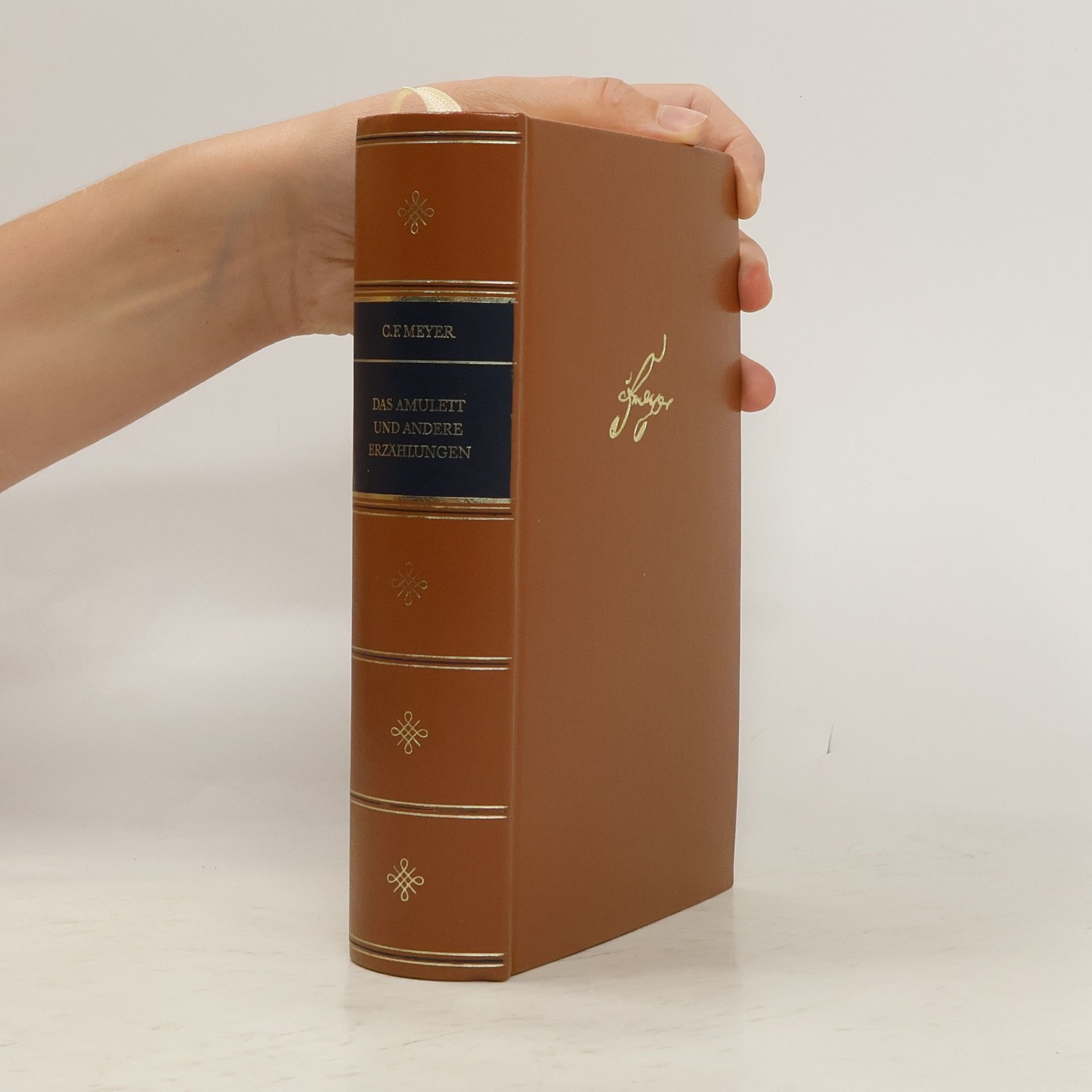 C. F. Meyer Das Amulett und andere Erzählungen