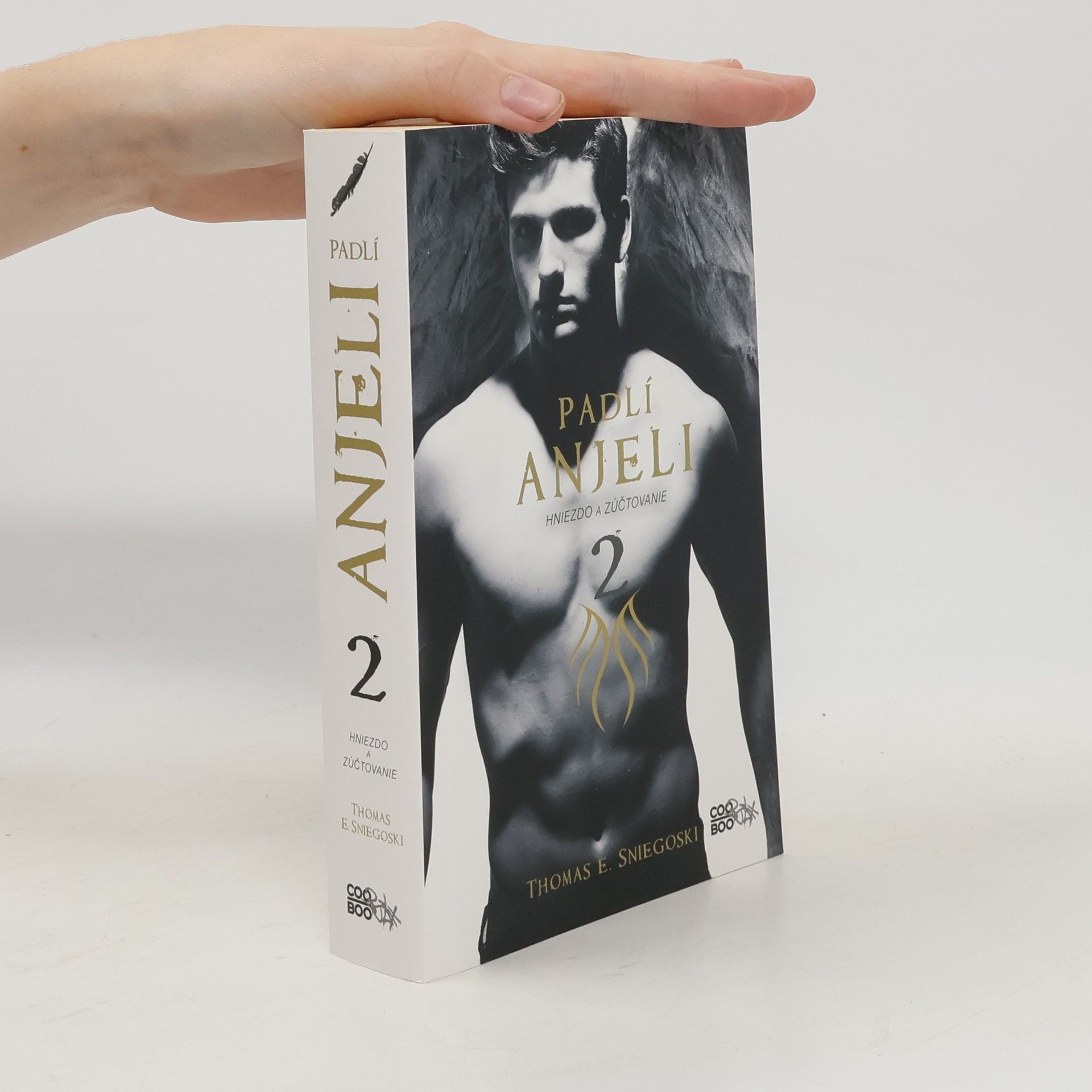 Thomas E. Sniegoski Padlí anjeli 2: Hniezdo a zúčtovanie