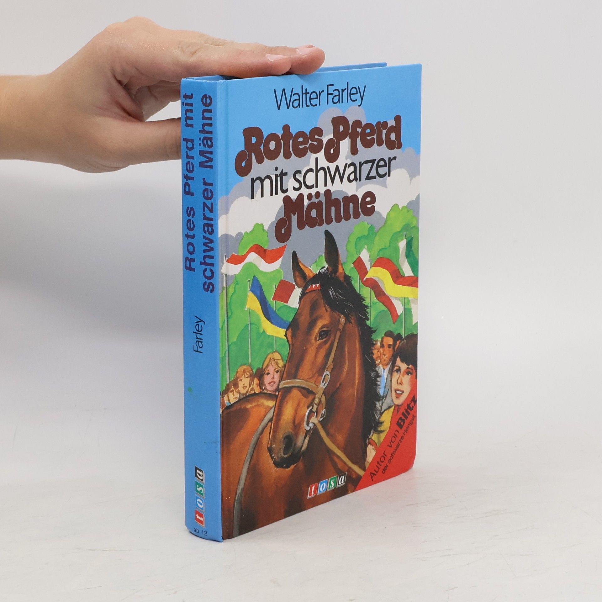 Walter Farley Rotes Pferd mit schwarzer Mähne