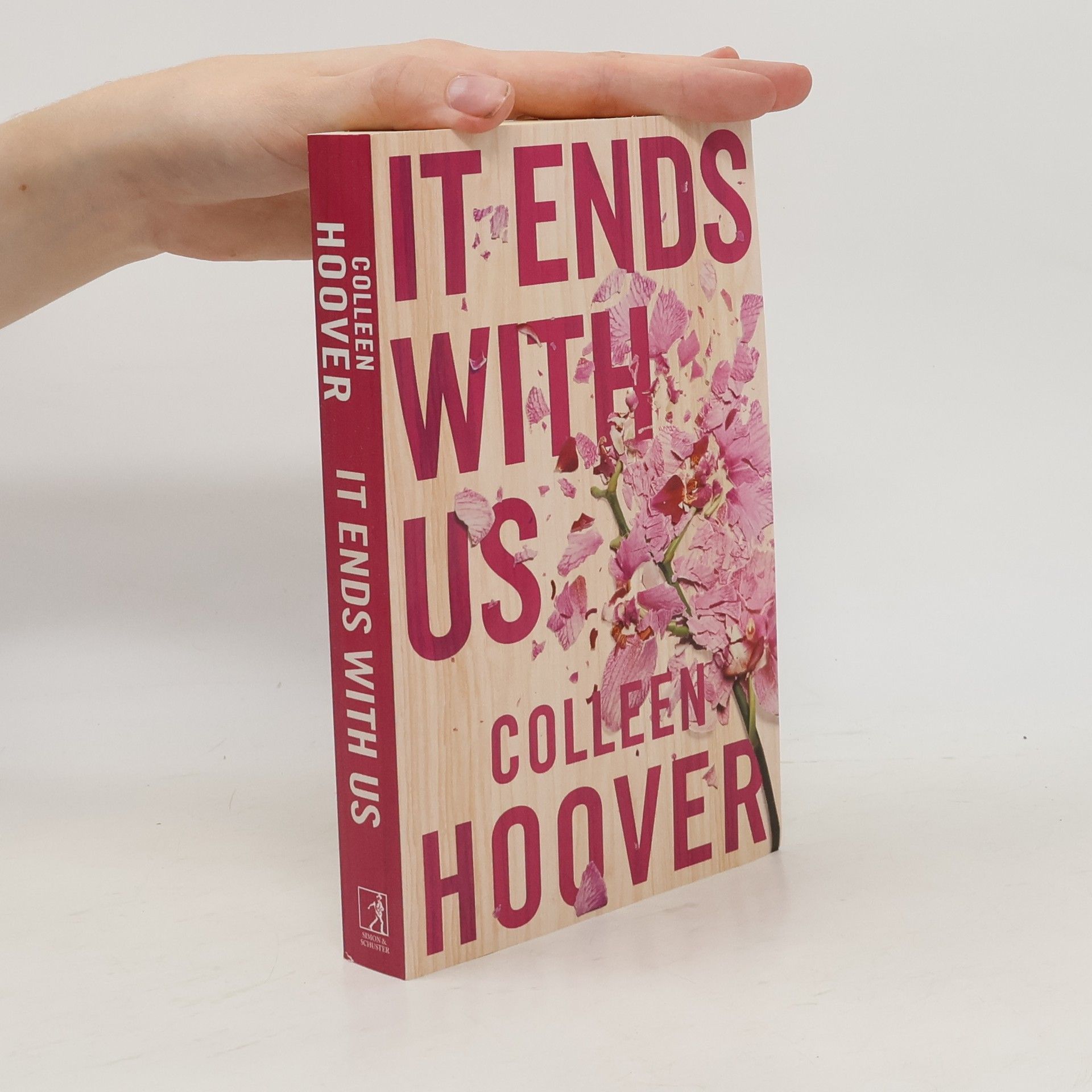Colleen Hoover It Ends With Us