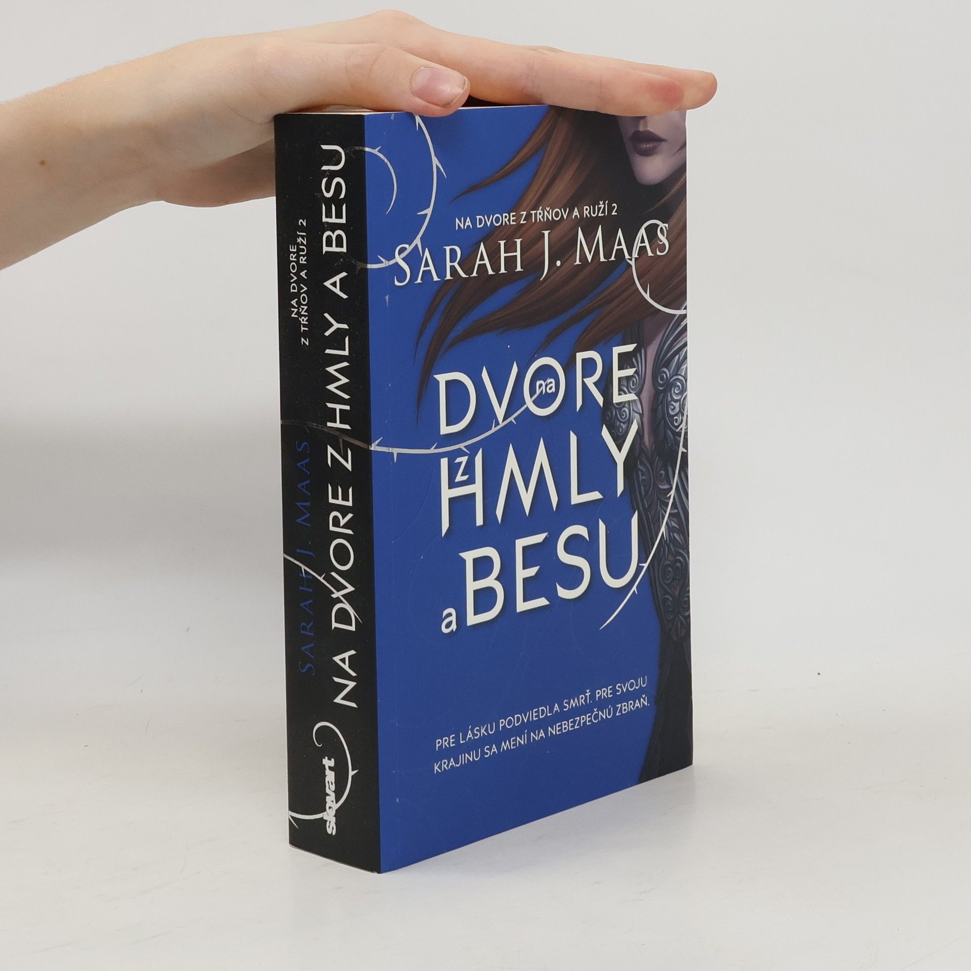Sarah J. Maas Na dvore z hmly a besu