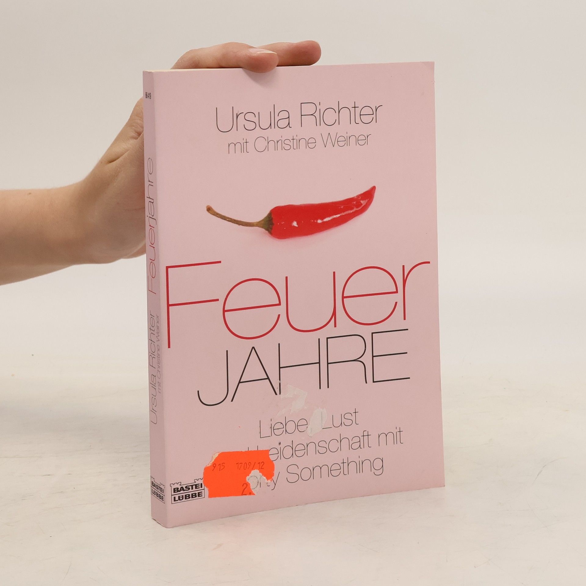 Ursula Richter Feuerjahre