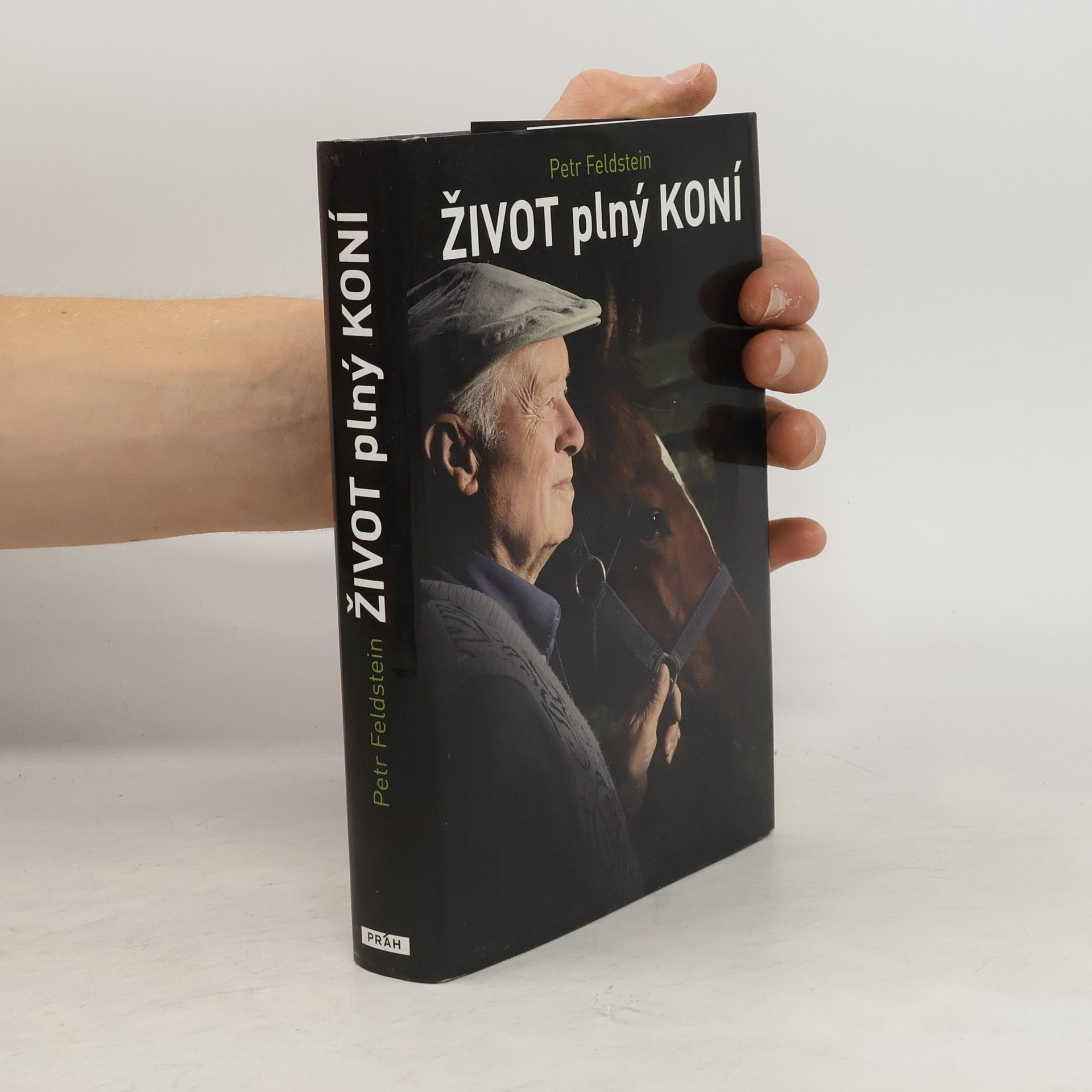 Petr Feldstein Život plný koní