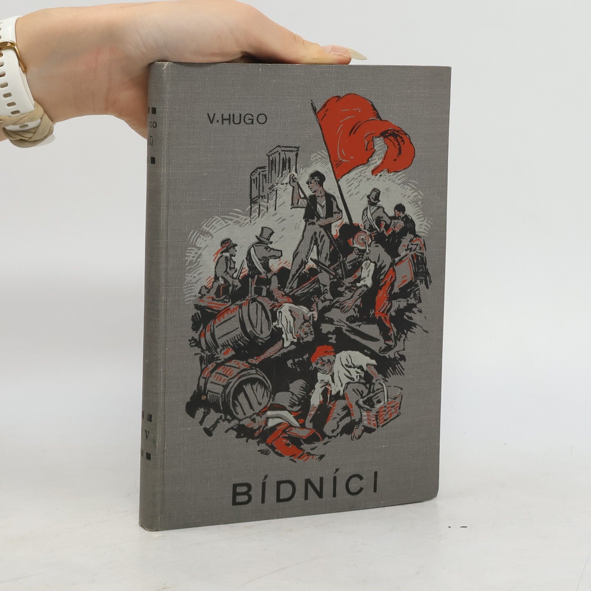 Victor Hugo Bidnici V.