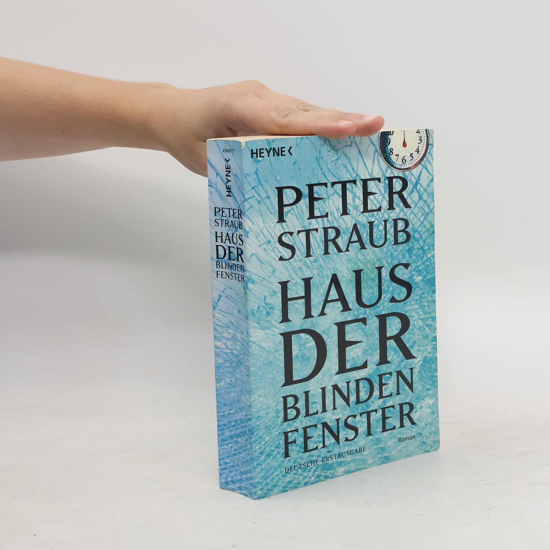 Peter Straub Haus der blinden Fenster