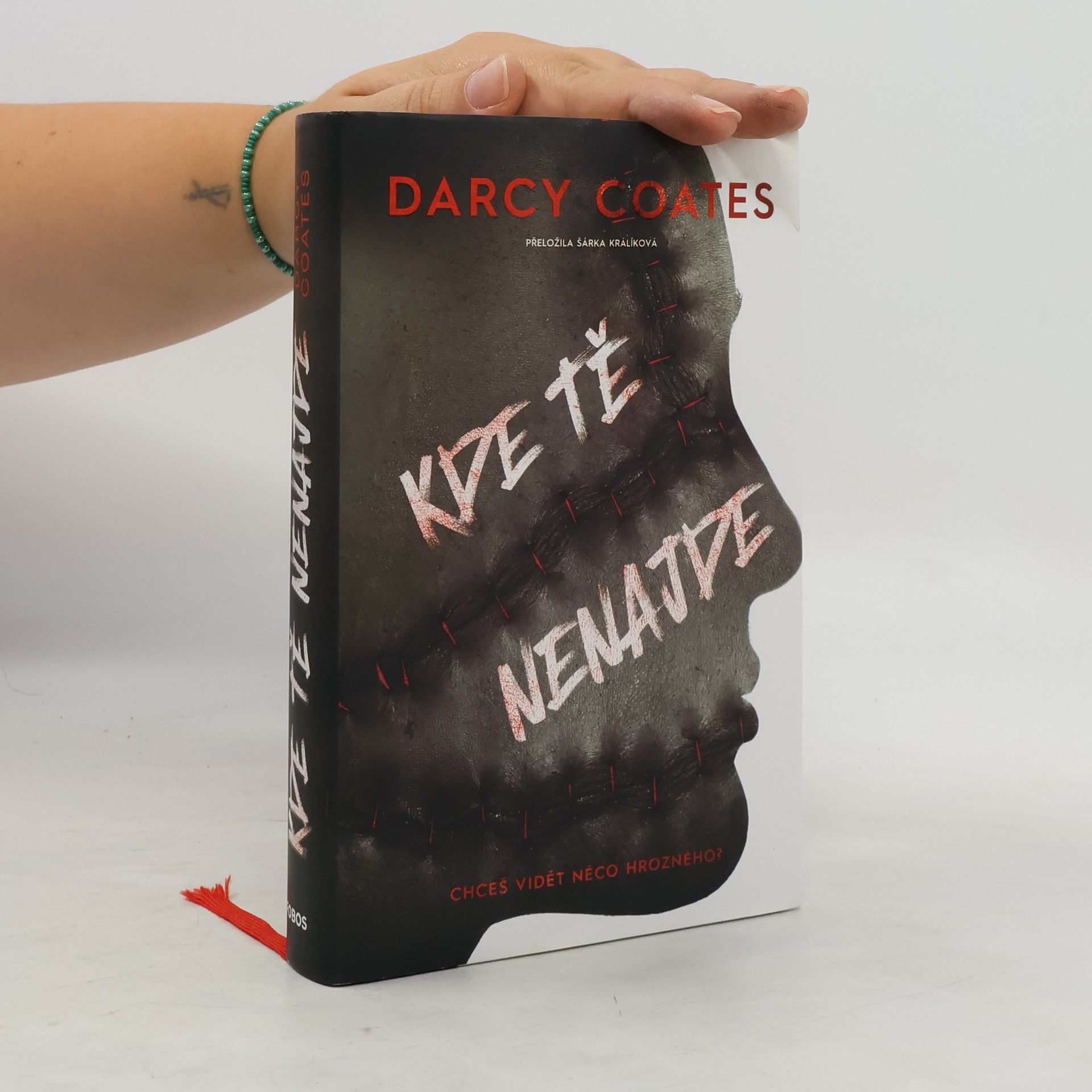 Darcy Coates Kde tě nenajde