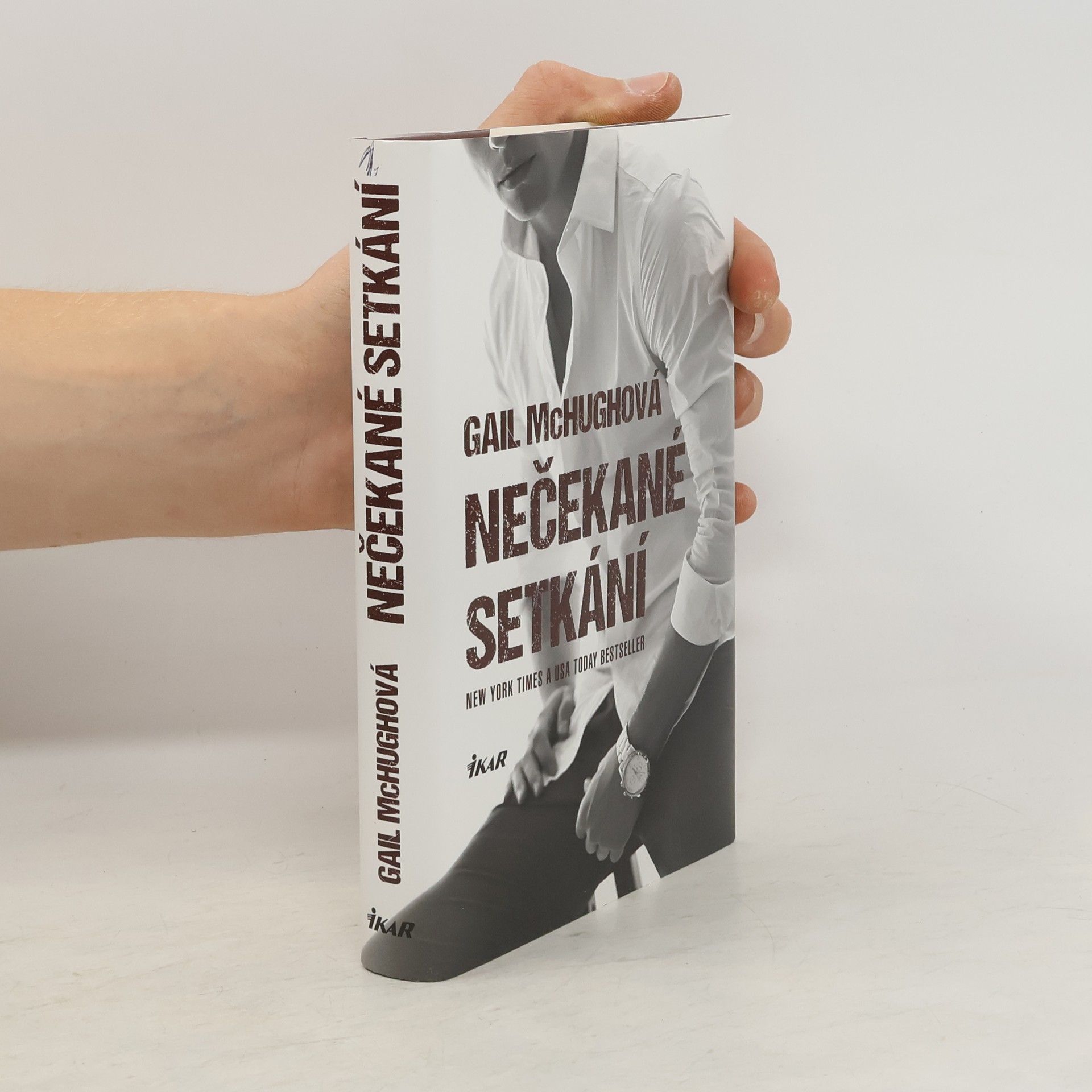 Gail McHugh Nečekané setkání