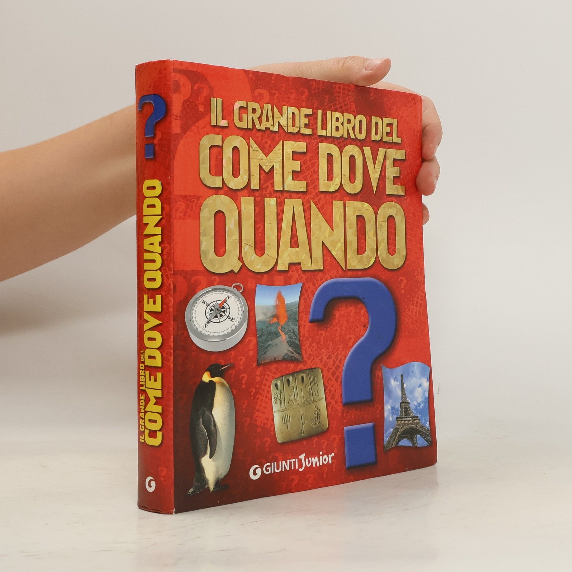 Michele Lauro Il grande libro del come dove quando?