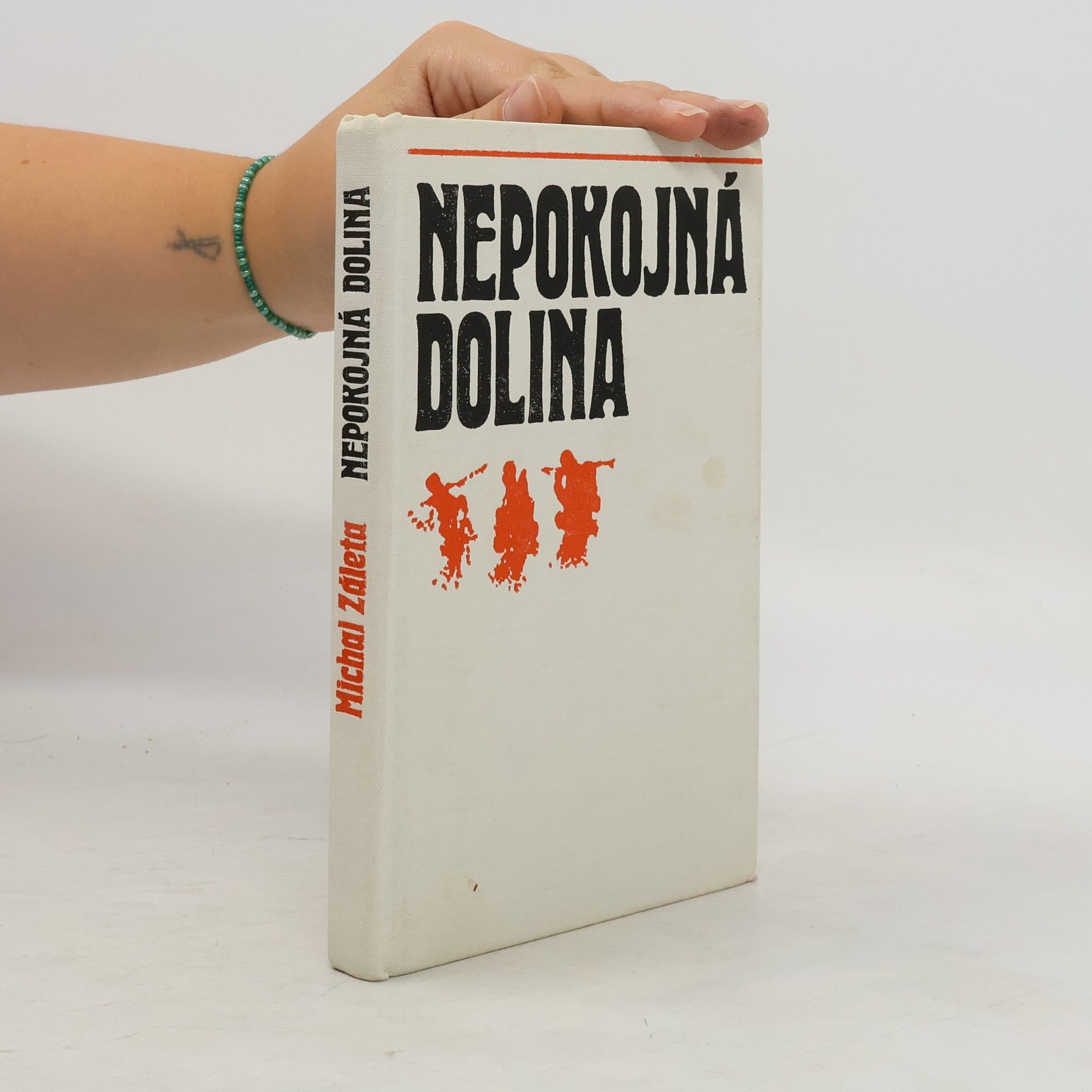 Michal Záleta Nepokojná dolina