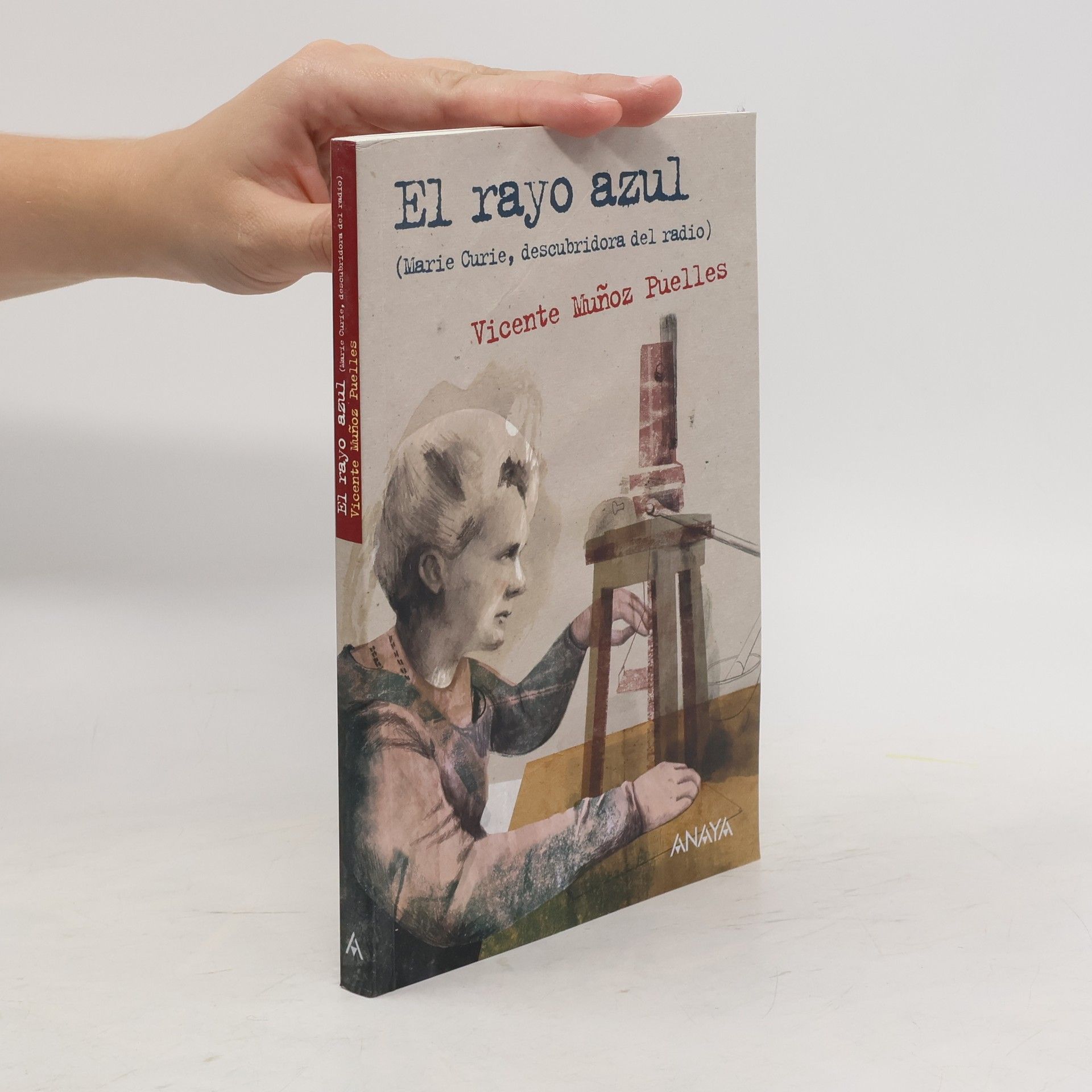 Vicente Muñoz Puelles El rayo azul