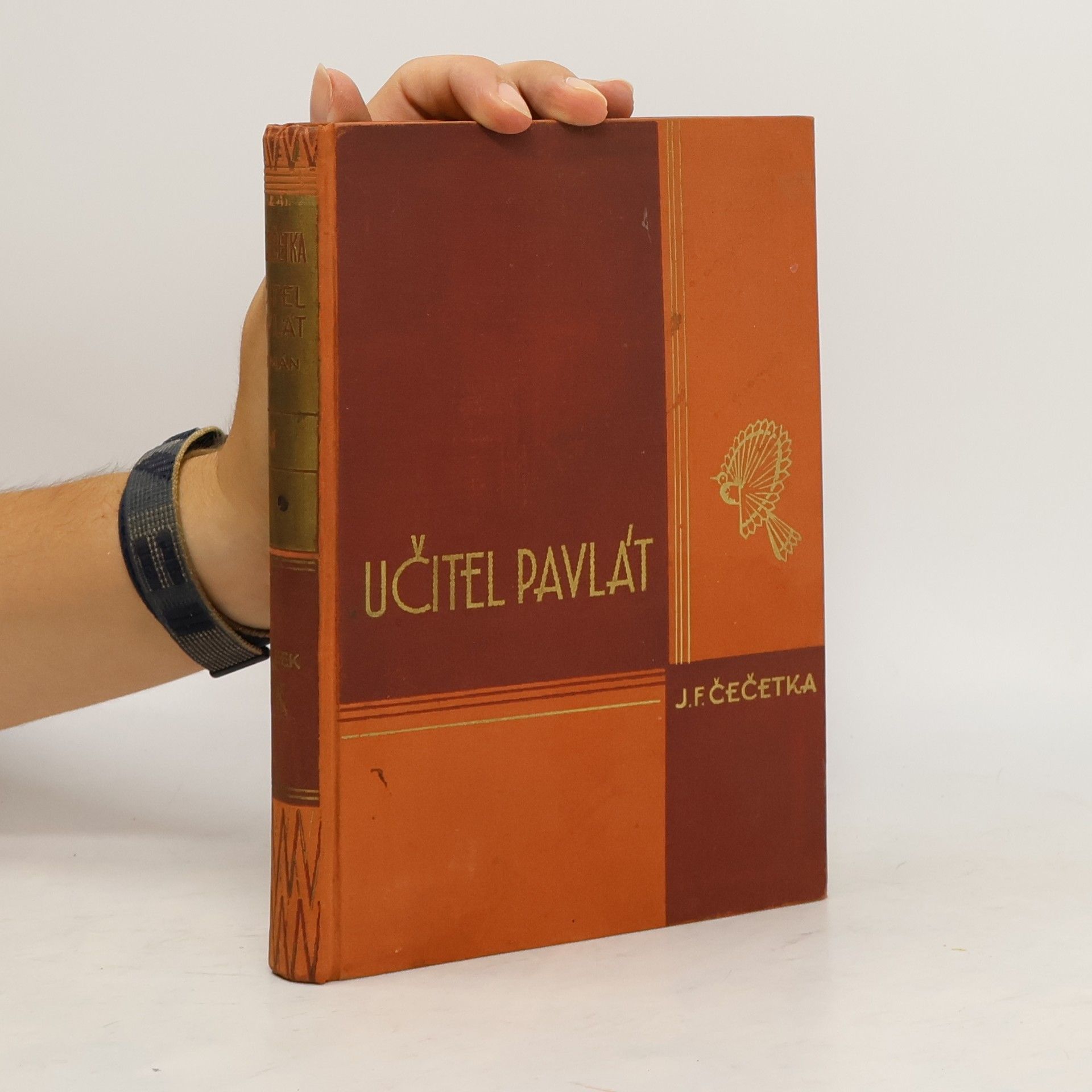 František Josef Čečetka Učitel Pavlát Díl I.