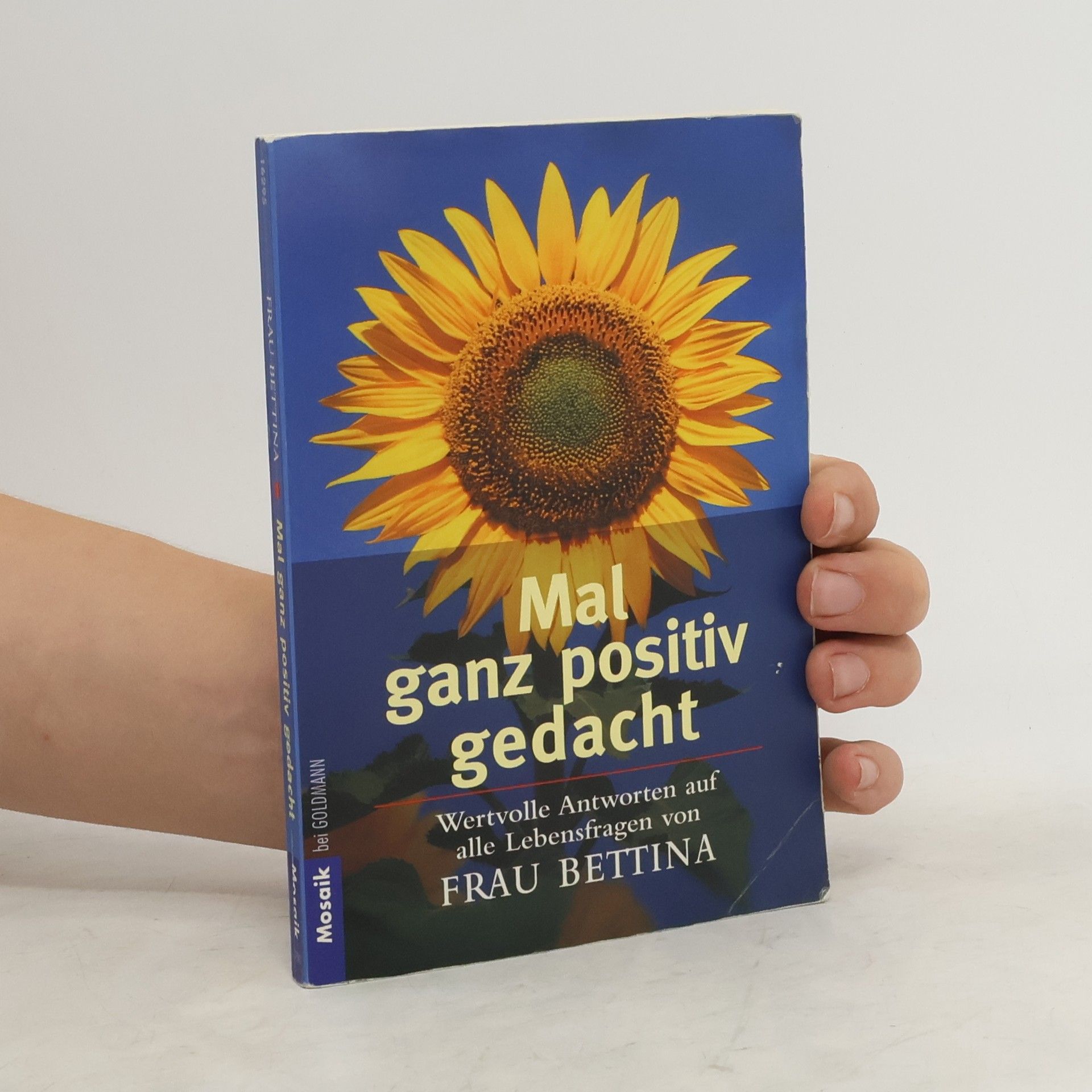 Ashley Lippert Mal ganz positiv gedacht