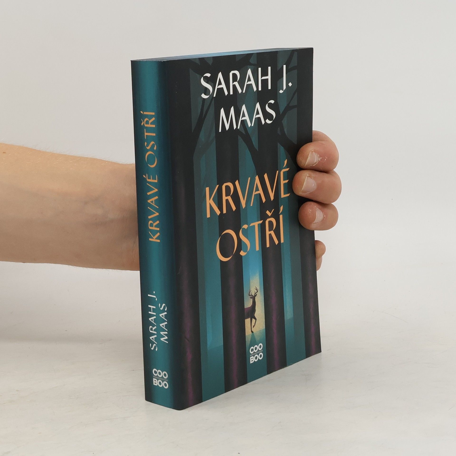 Sarah J. Maas Krvavé ostří