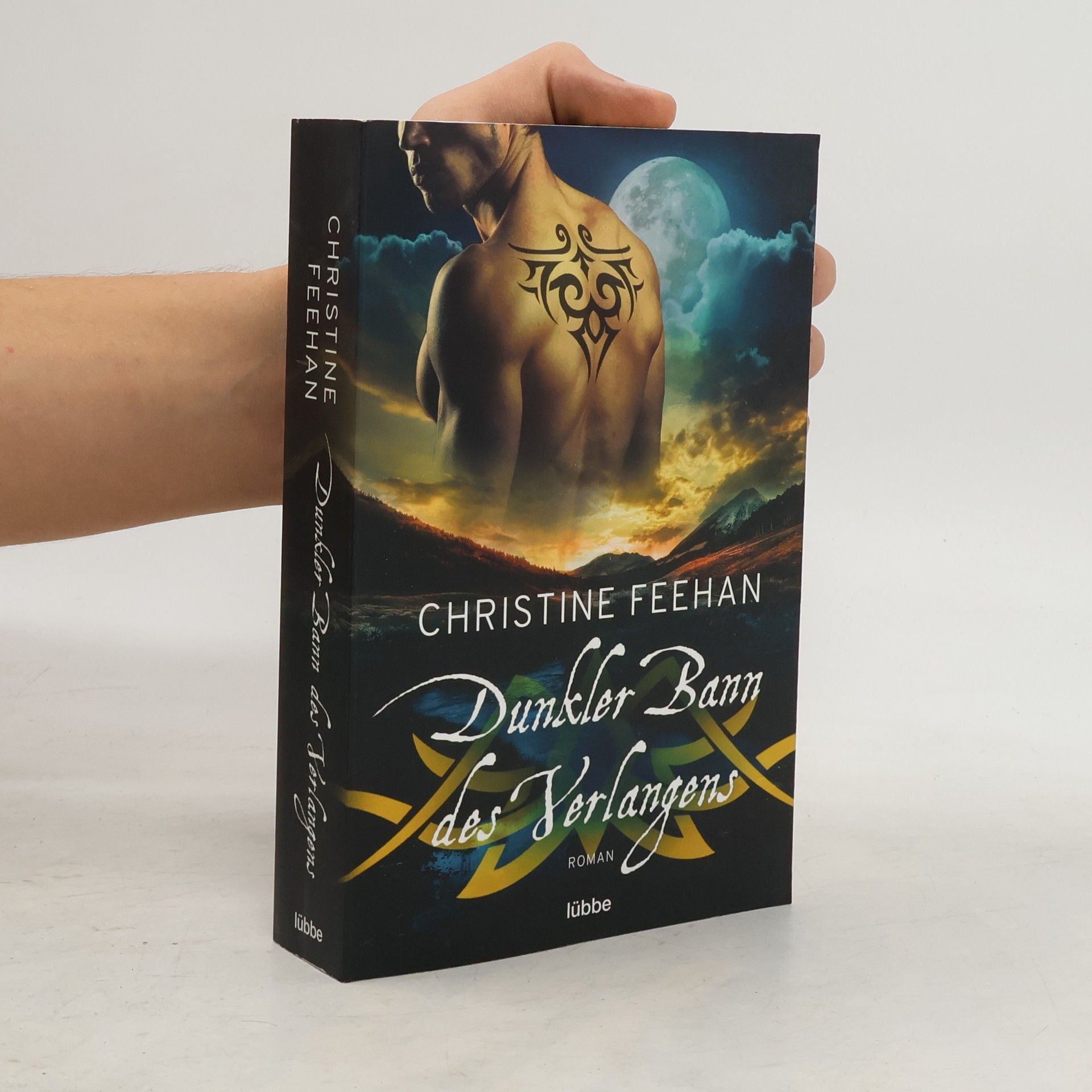 Christine Feehan Dunkler Bann des Verlangens