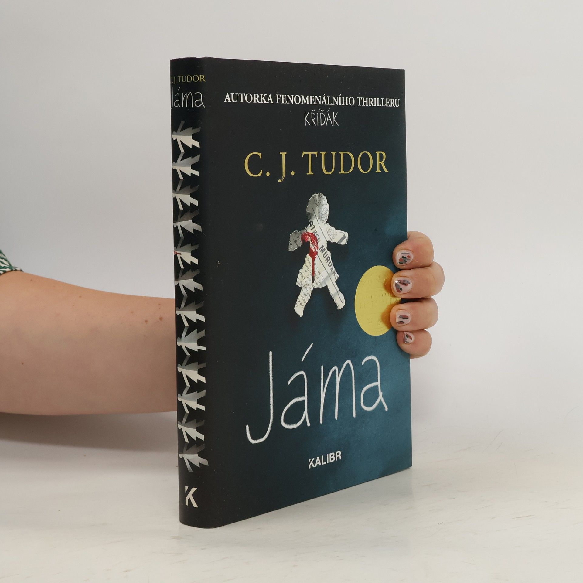 C. J. Tudor Jáma