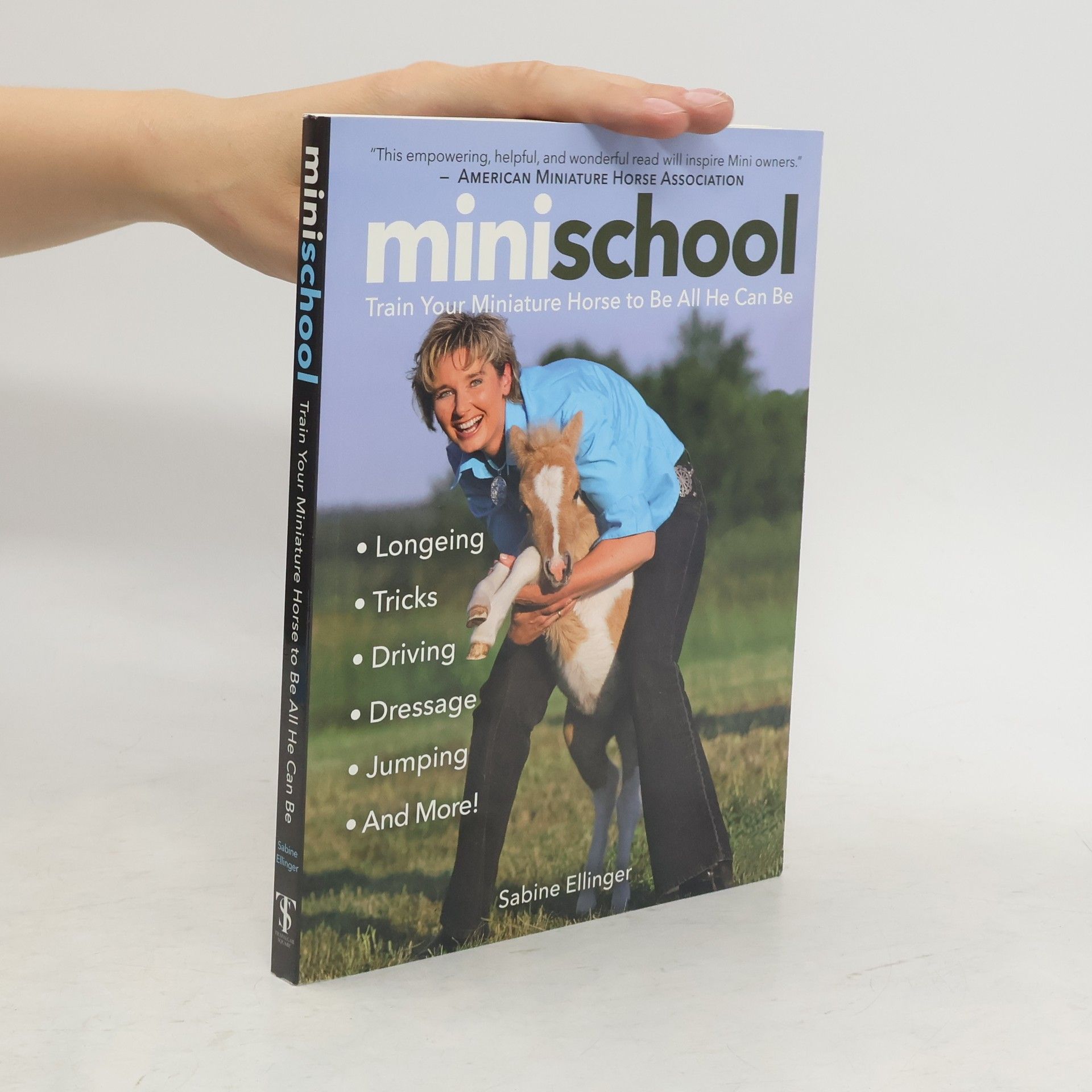 Sabine Ellinger Mini School