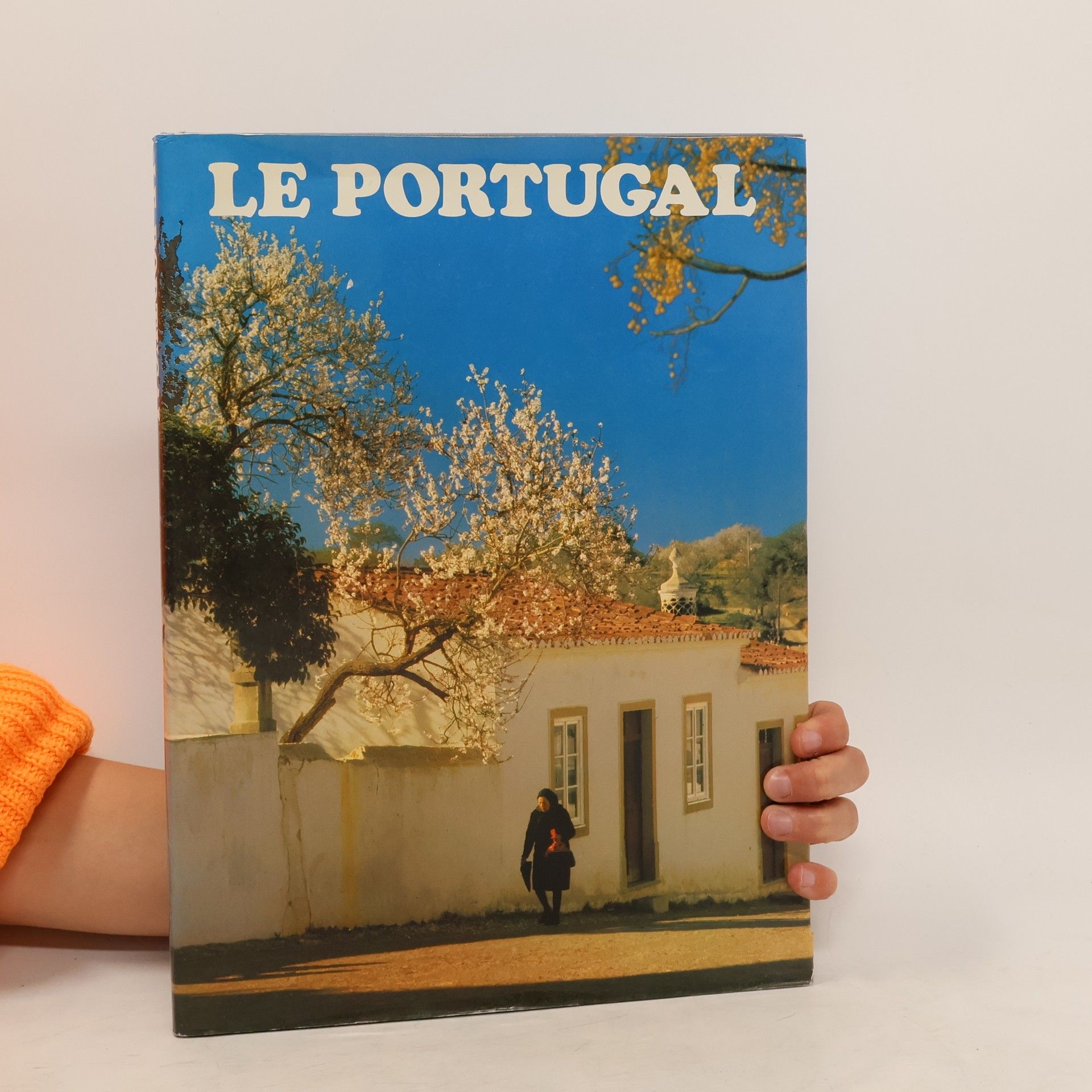 Rui Rasquilho Le Portugal