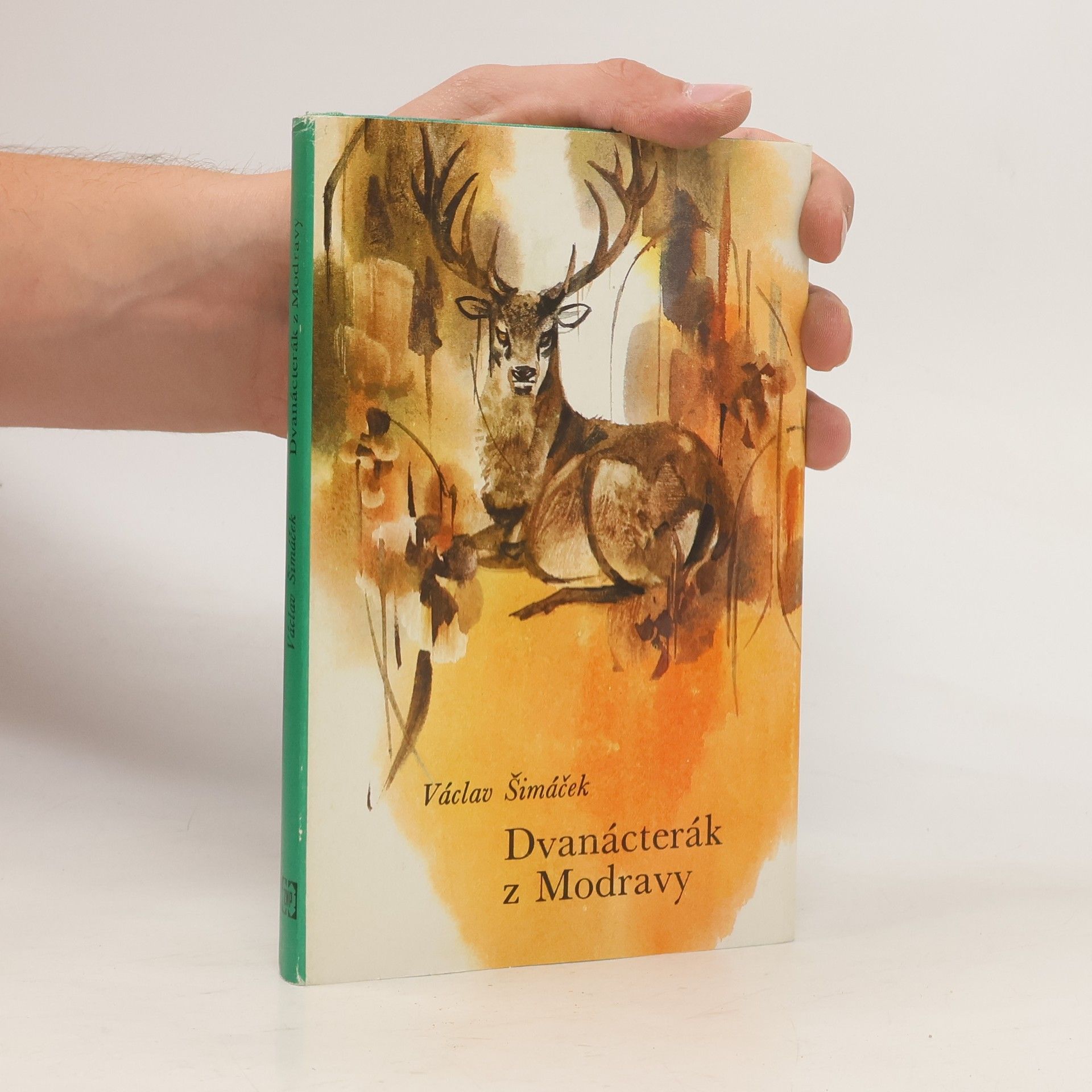 Václav Šimáček Dvanácterák z Modravy