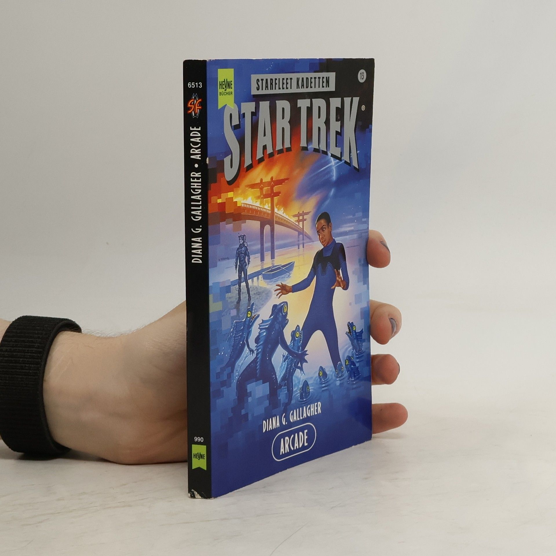Diane G. Gallagher Arcade. Star Trek.