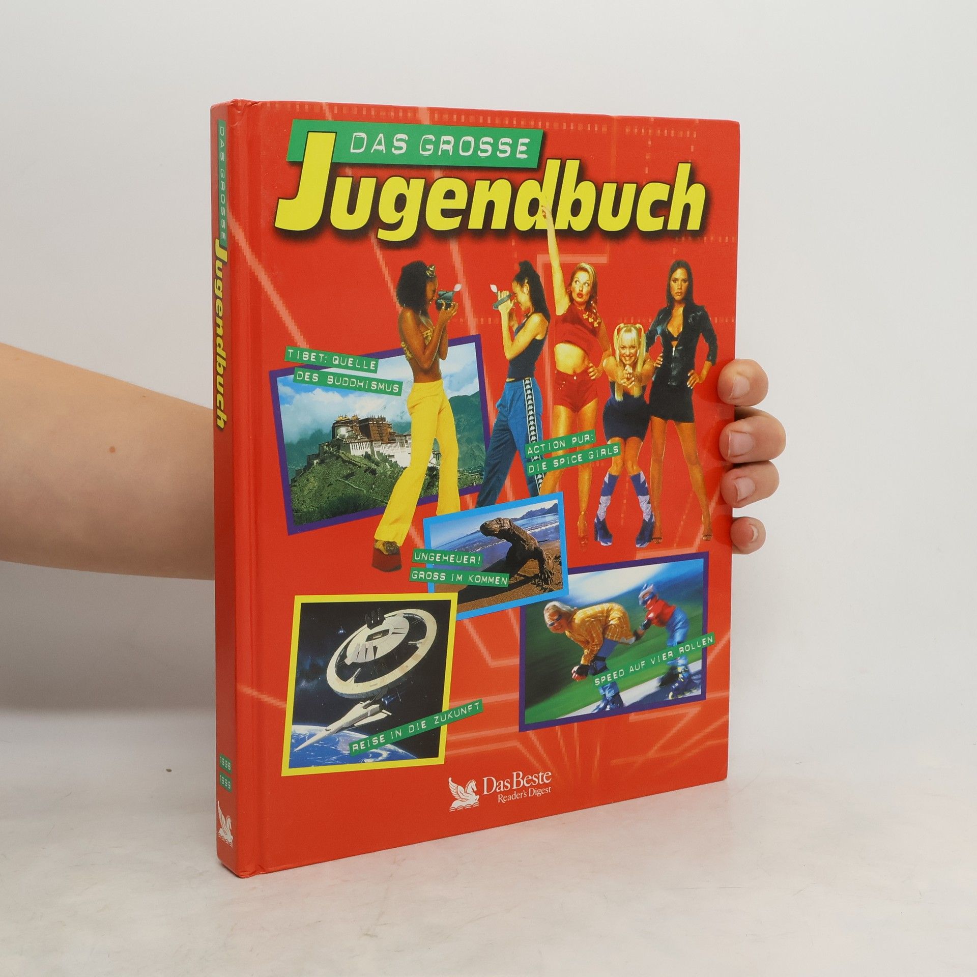 Kolektív autorov Das grosse Jugendbuch