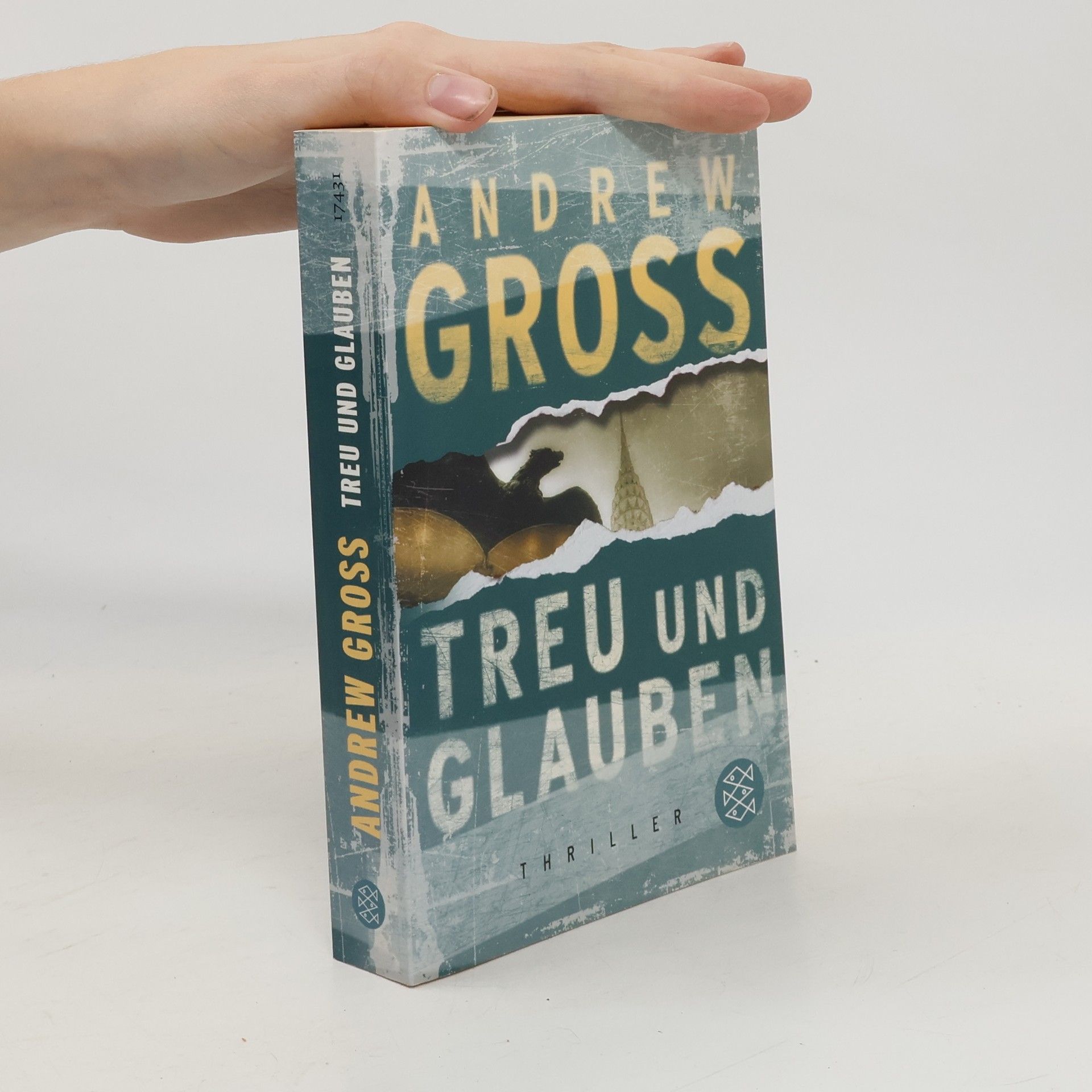 Andrew Gross Treu und Glauben