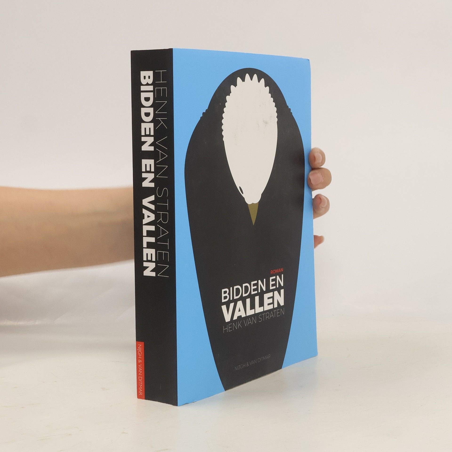 Henk van Straten Bidden en vallen