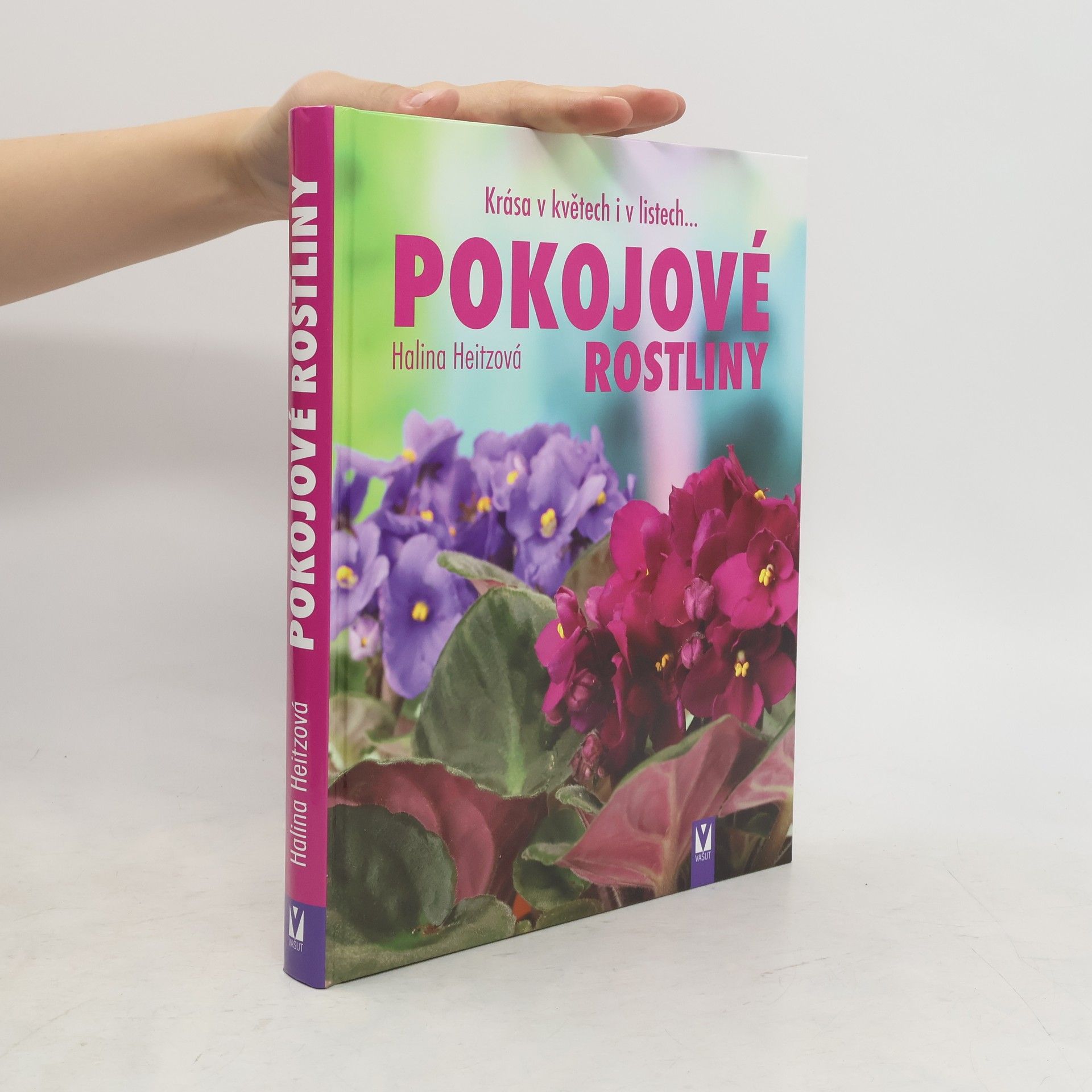 Kolektiv autorů Pokojové rostliny