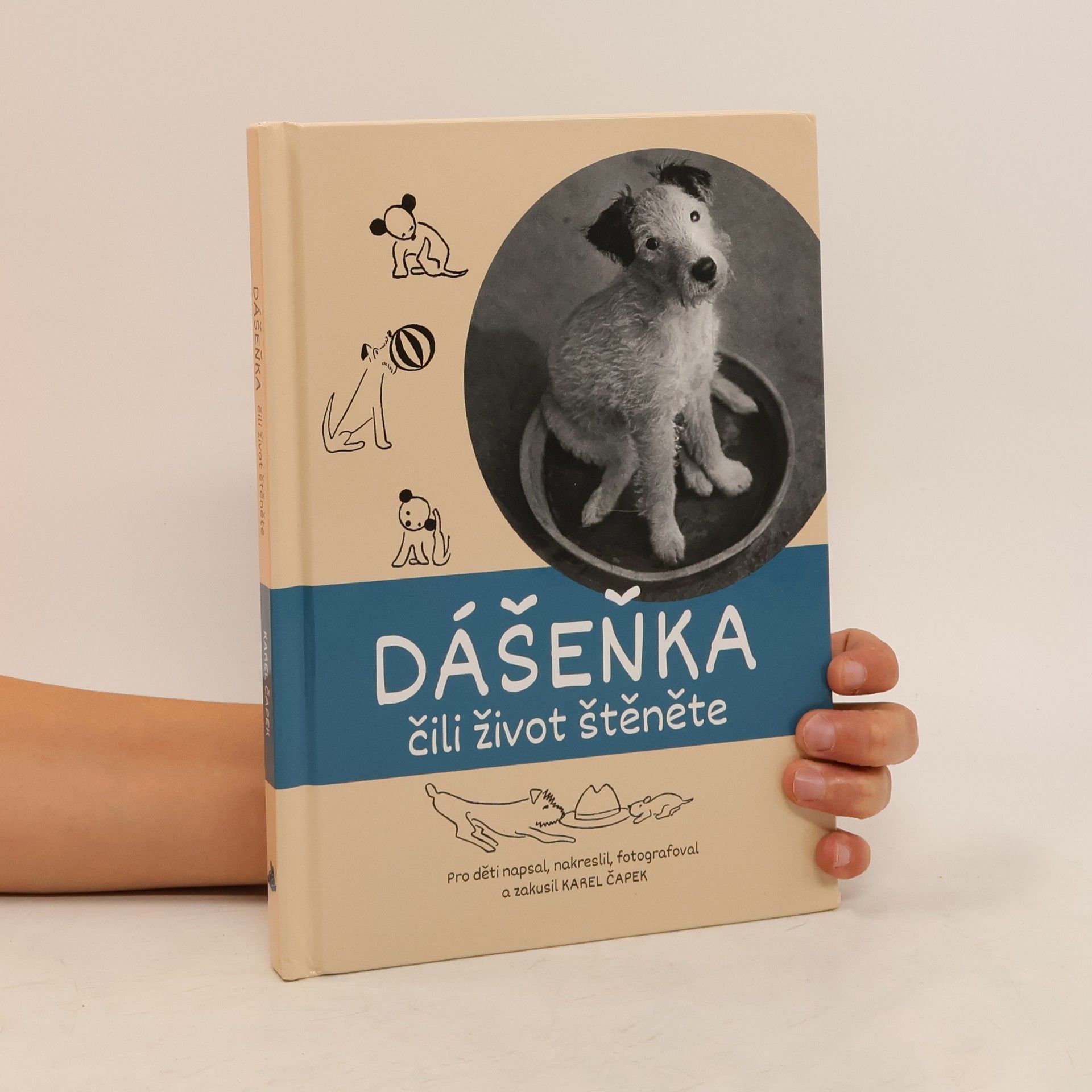Collective Dášeňka