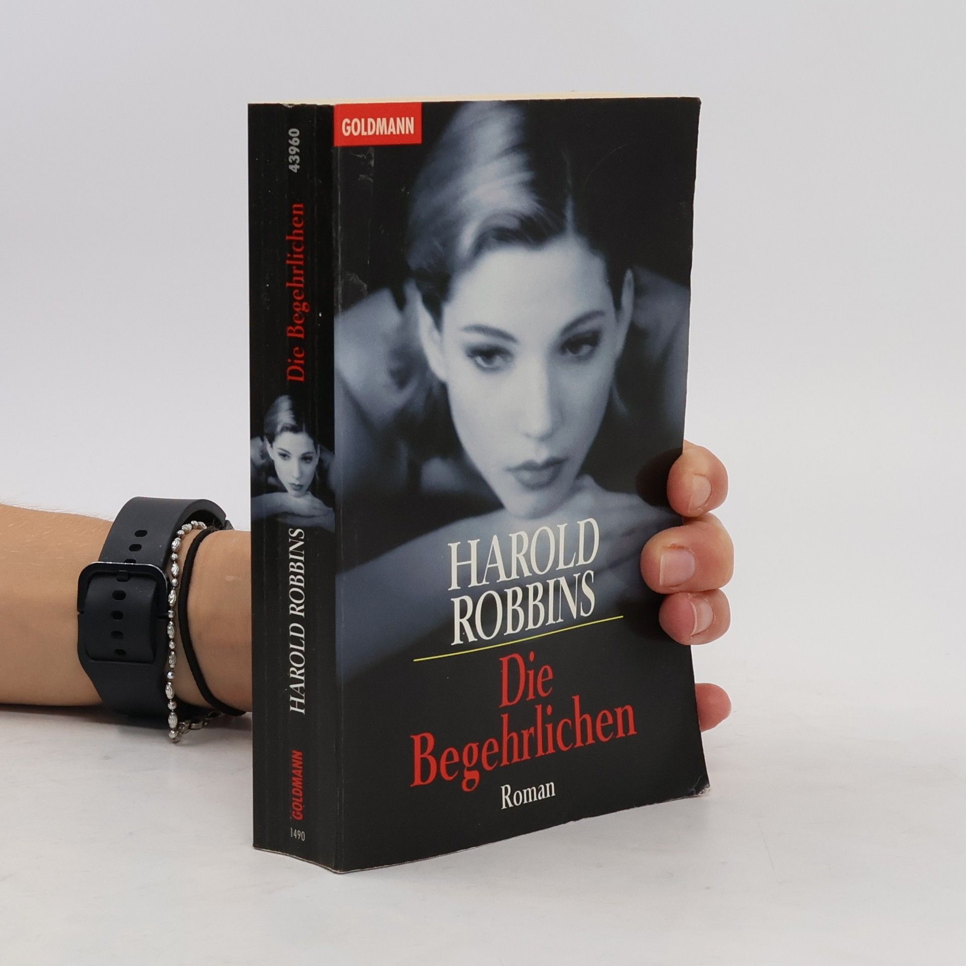 Harold Robbins Die Begehrlichen