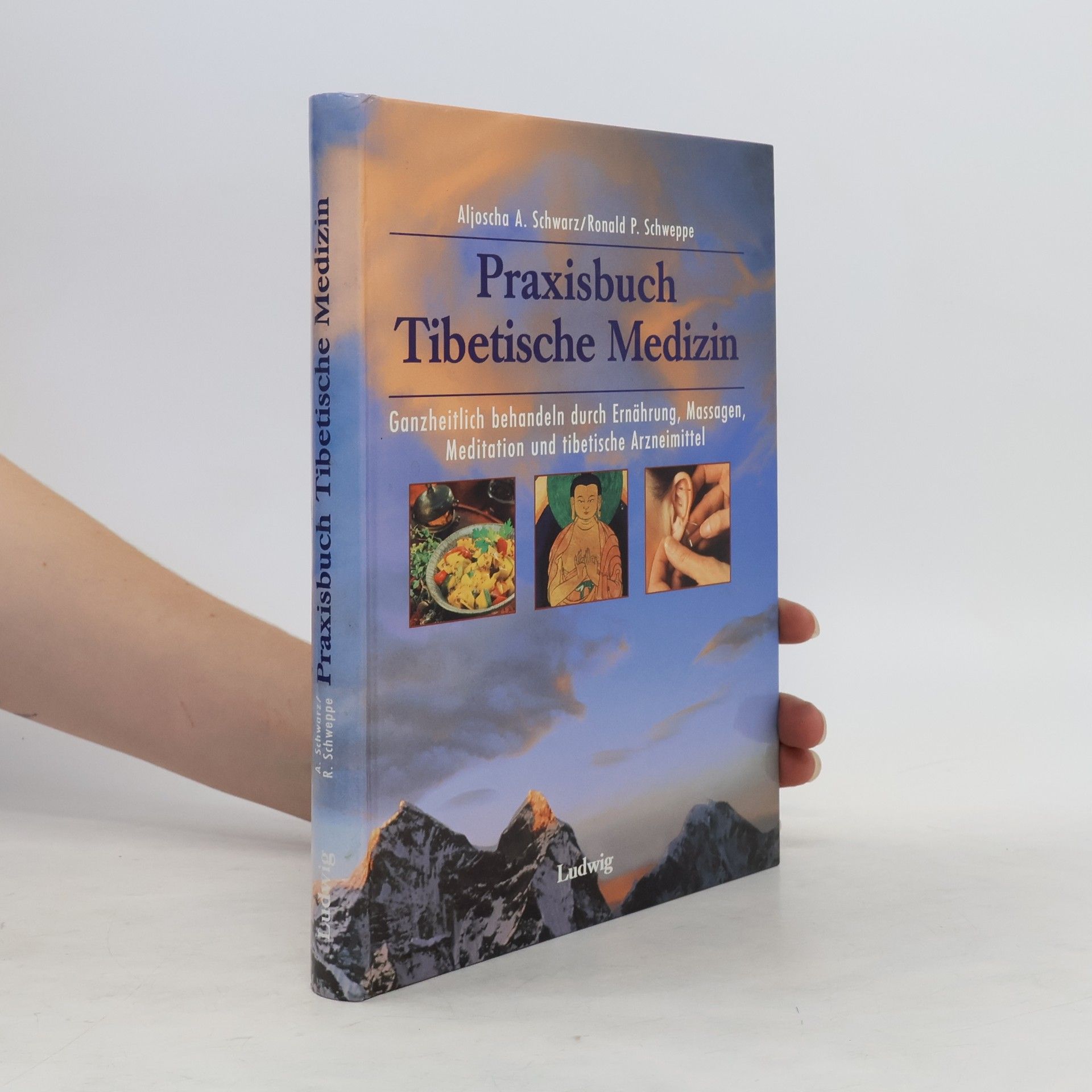 Aljoscha Long Praxisbuch tibetische Medizin