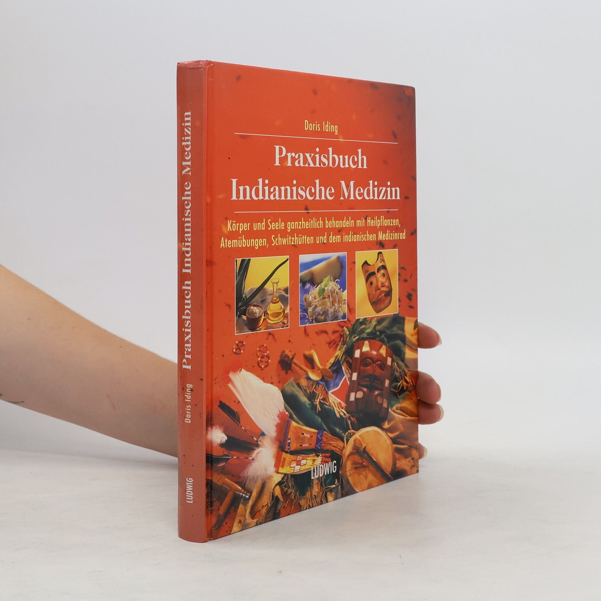 Doris Iding Praxisbuch indianische Medizin: Körper und Seele ganzheitlich behandeln mit Heilpflanzen, Atemübungen, Schwitzhütten und dem indianischen Medizinrad