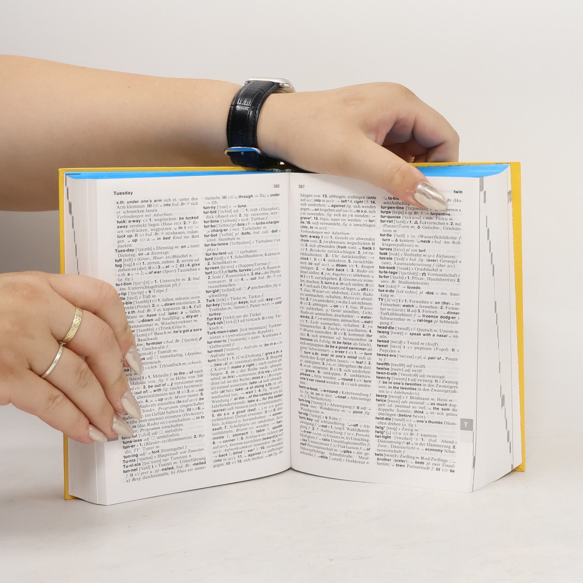 Langenscheidts Bürowörterbuch Englisch