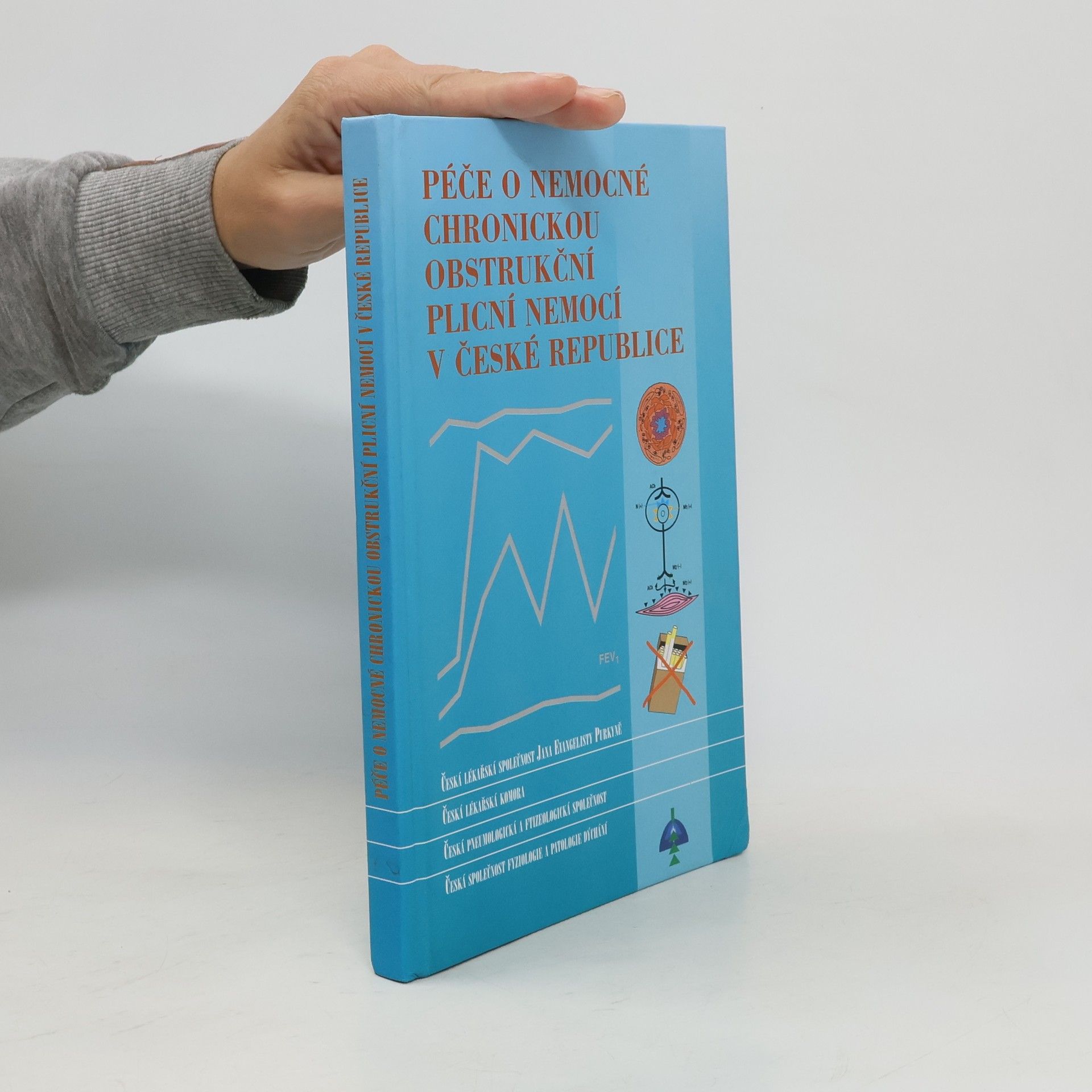 Autores varios Péče o nemocné chronickou obstrukční plicní nemocí v České republice