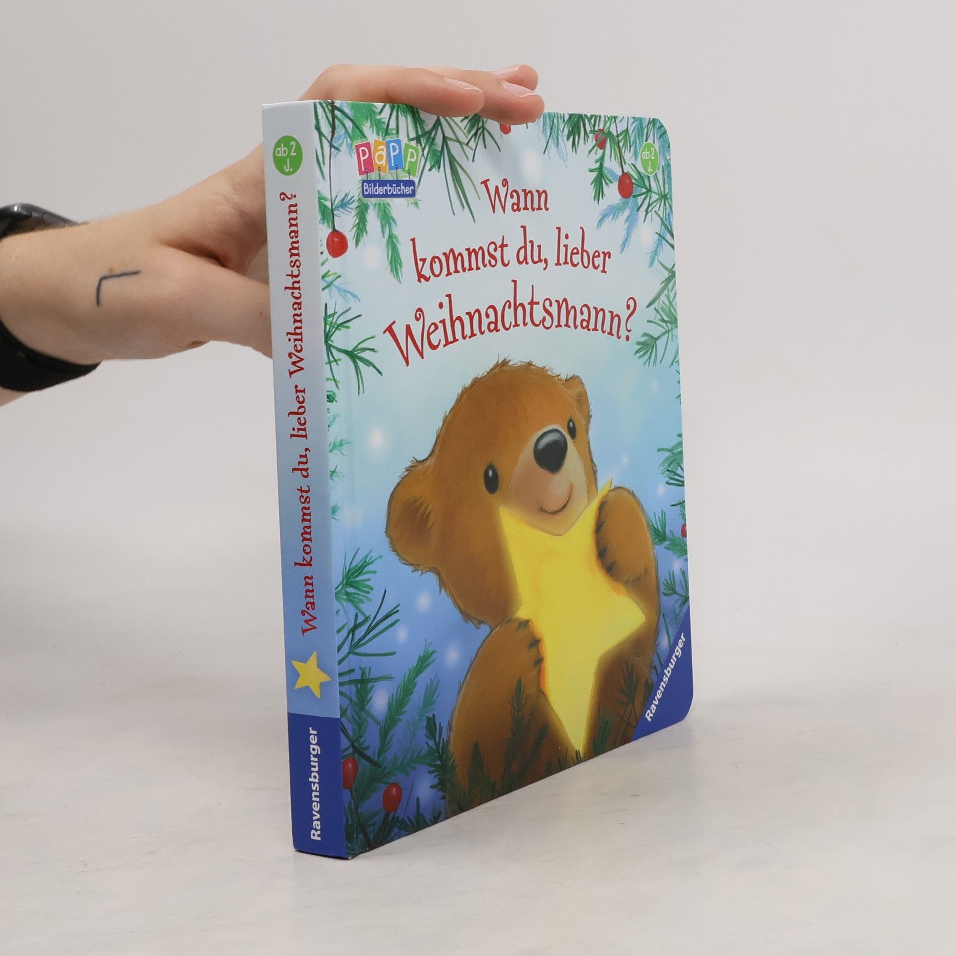 Steve Metzger Wann kommst du, lieber Weihnachtsmann?