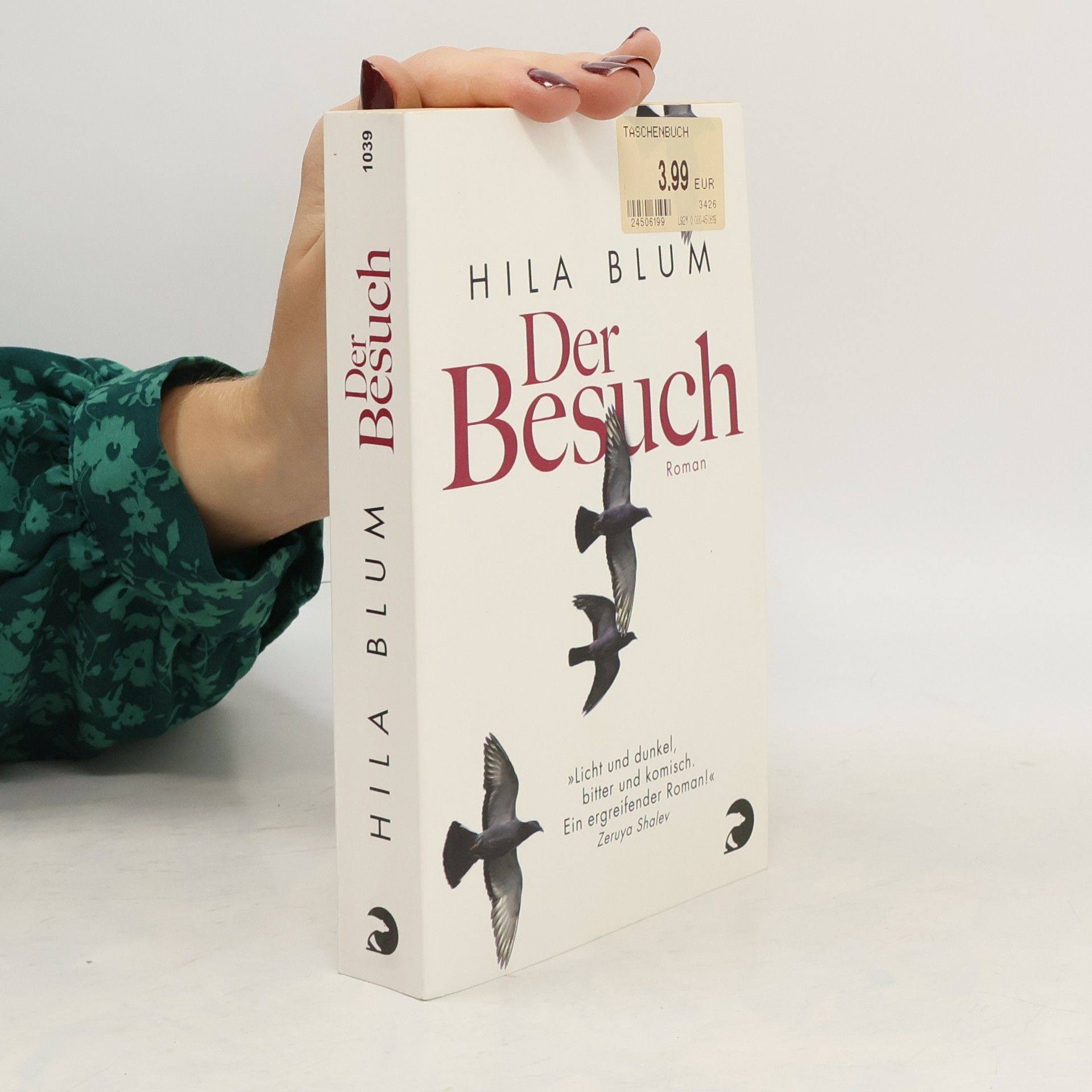Hilah Blum Der Besuch