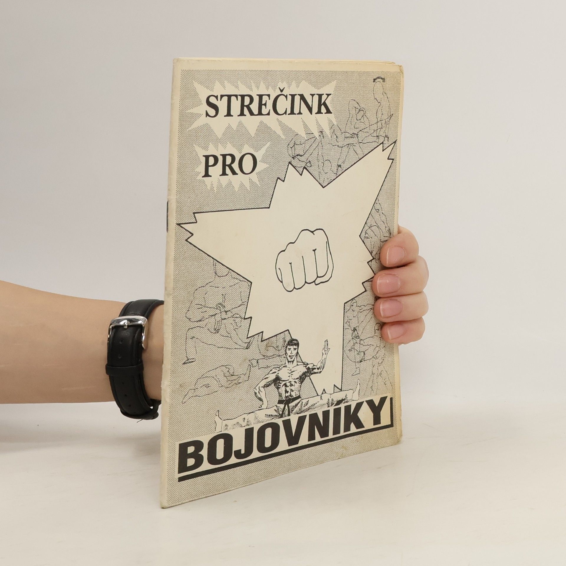 Dagmar Horáčková Kompenzační cvičení a strečink pro bojovníky