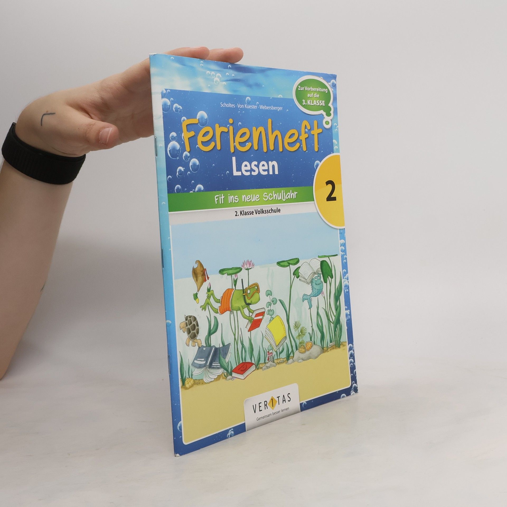 Cornelia Scholtes Ferienheft Lesen - Volksschule 2. Klasse