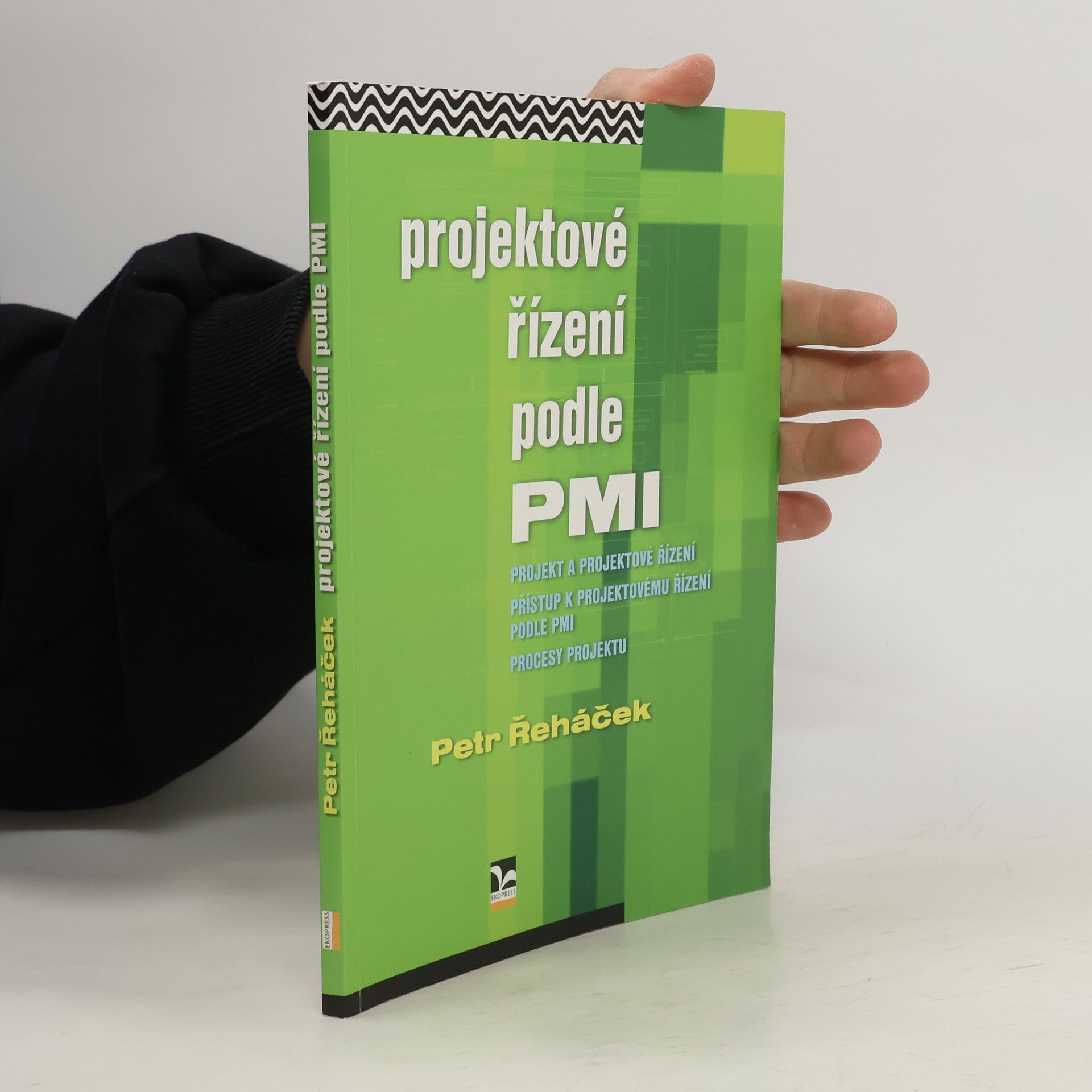 Collectif d'auteurs Projektové řízení podle PMI