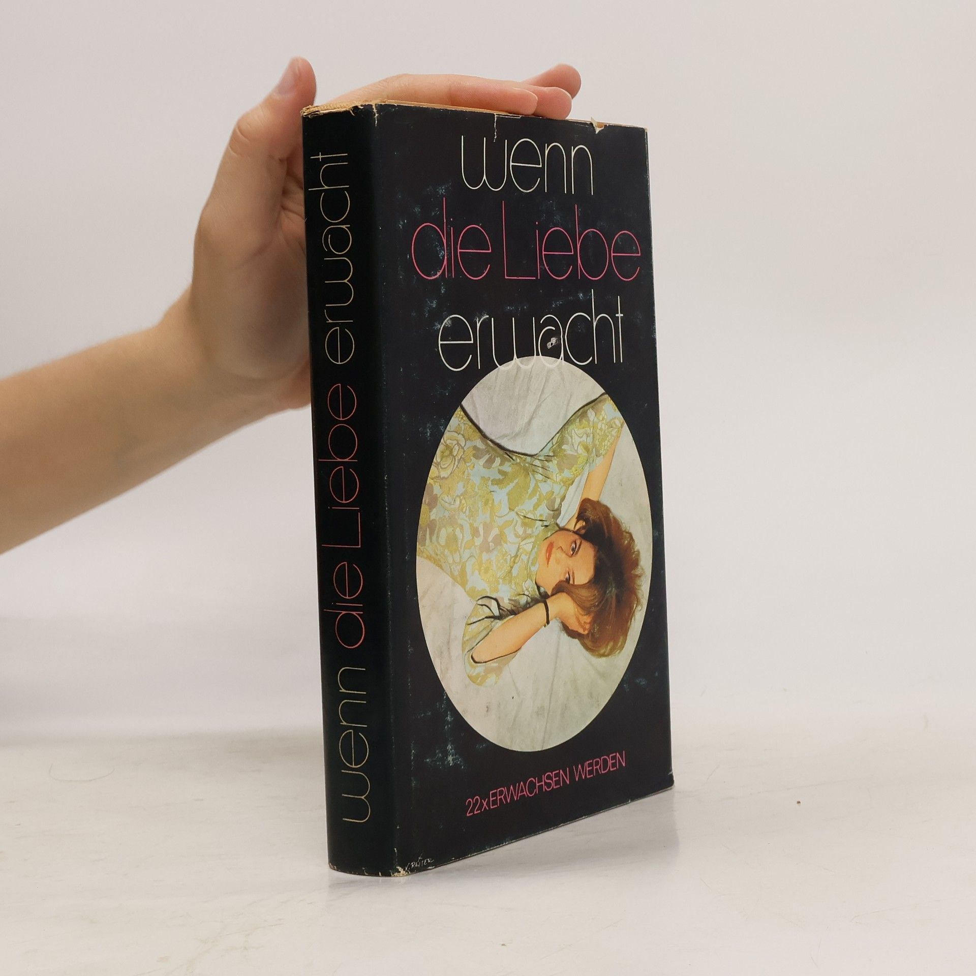 Autorenkollektiv Wenn die Liebe Erwacht