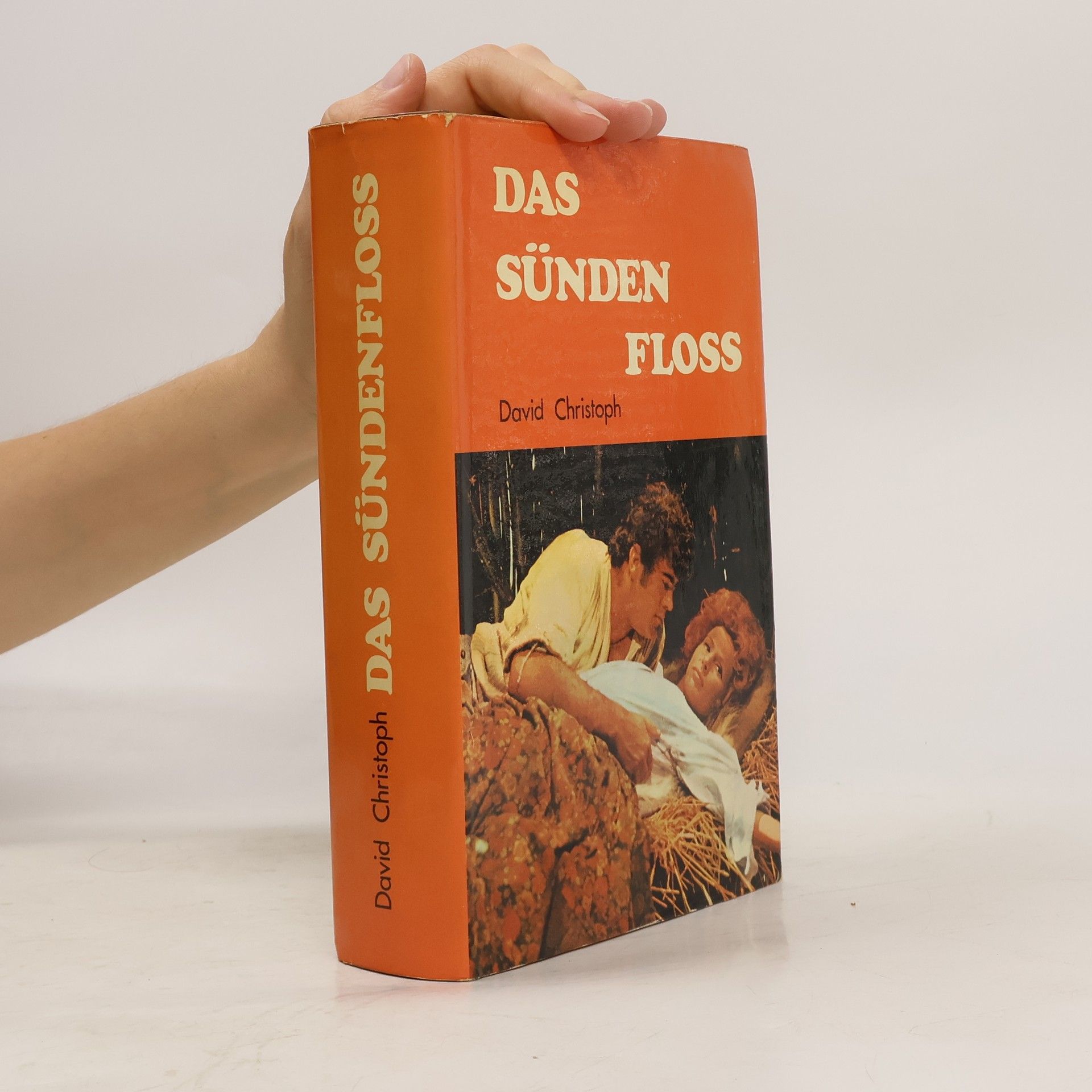 David Christoph Das Sündenfloss