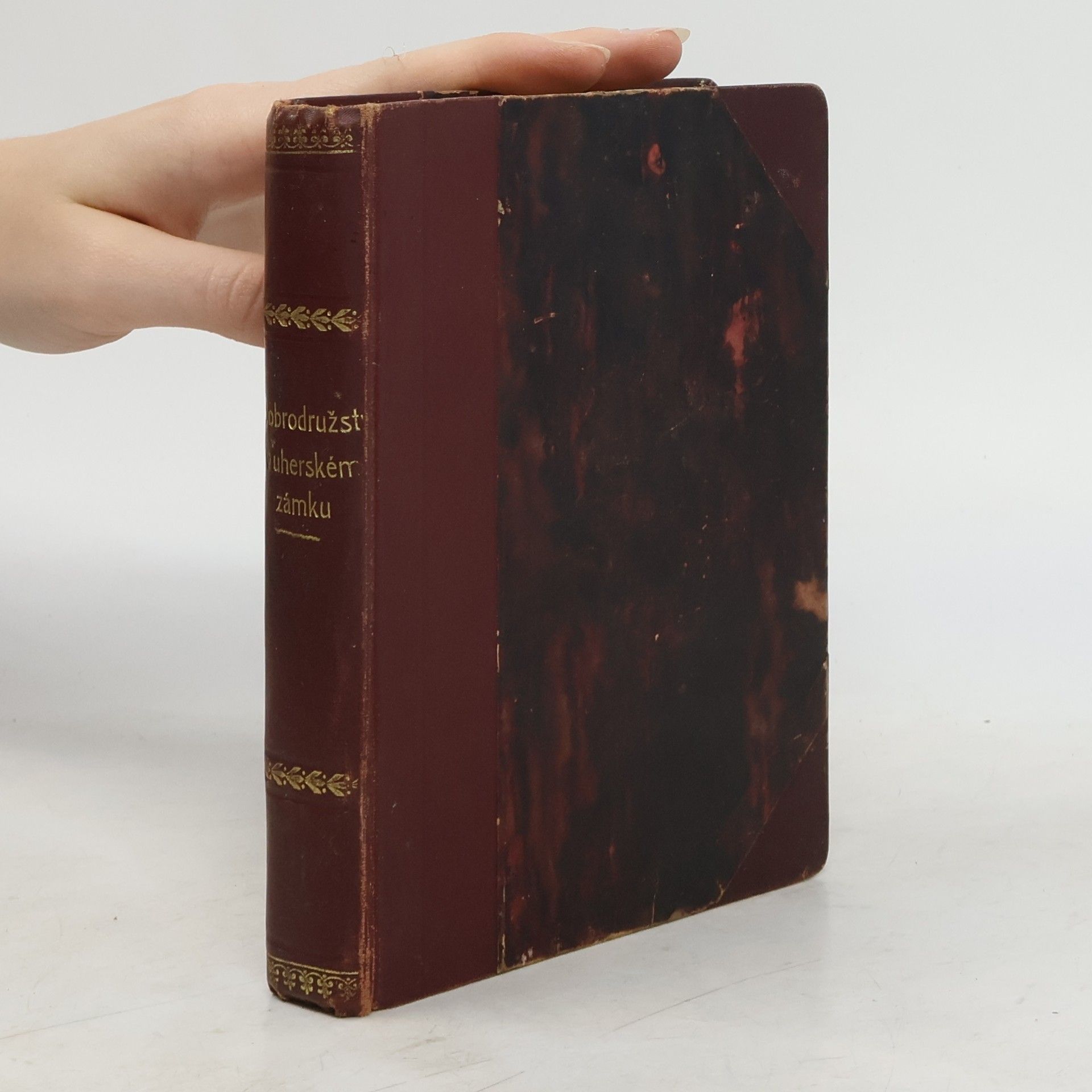 Alexandr D z Jassy-ů Dobrodružství v uherském zámku