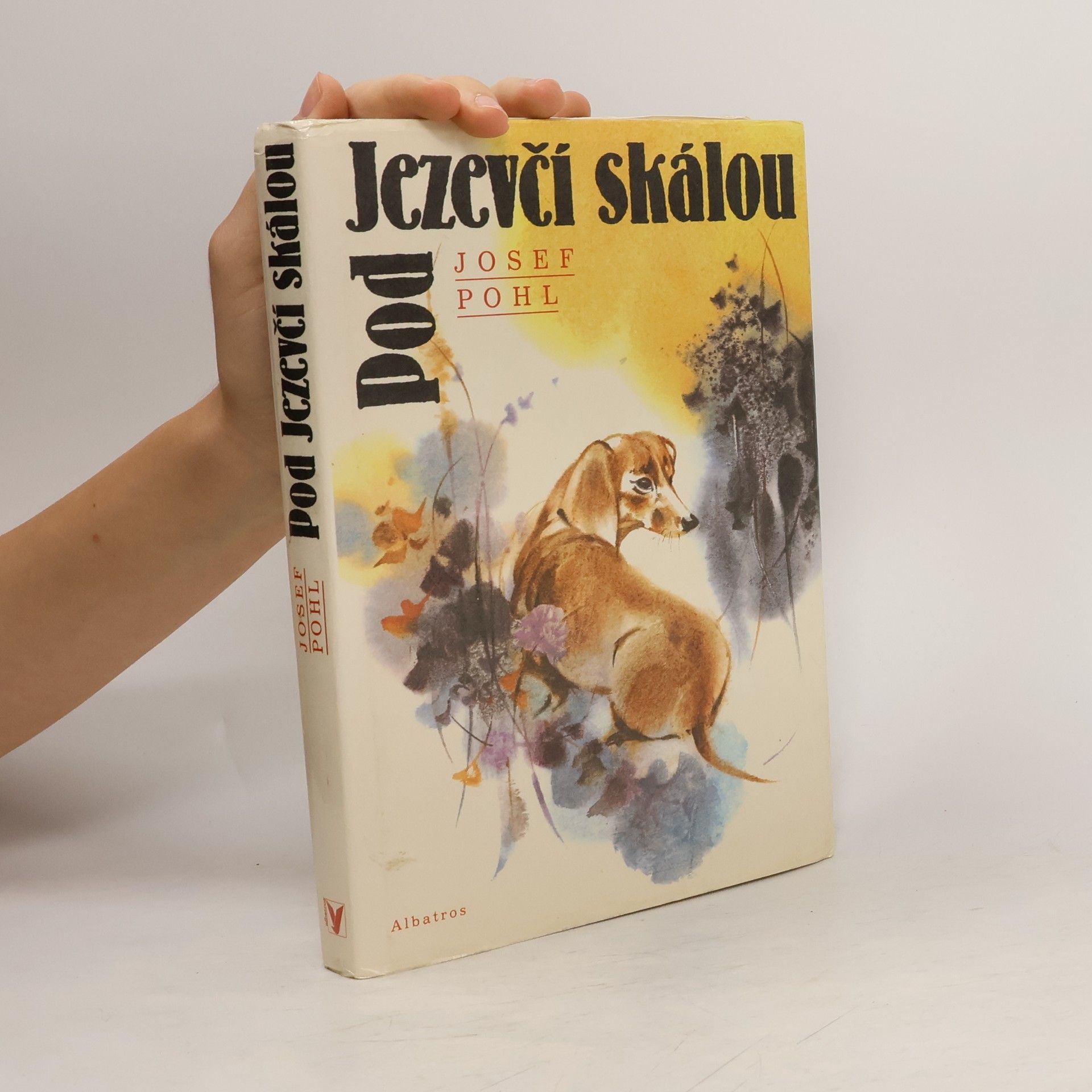 Pod Jezevčí skálou