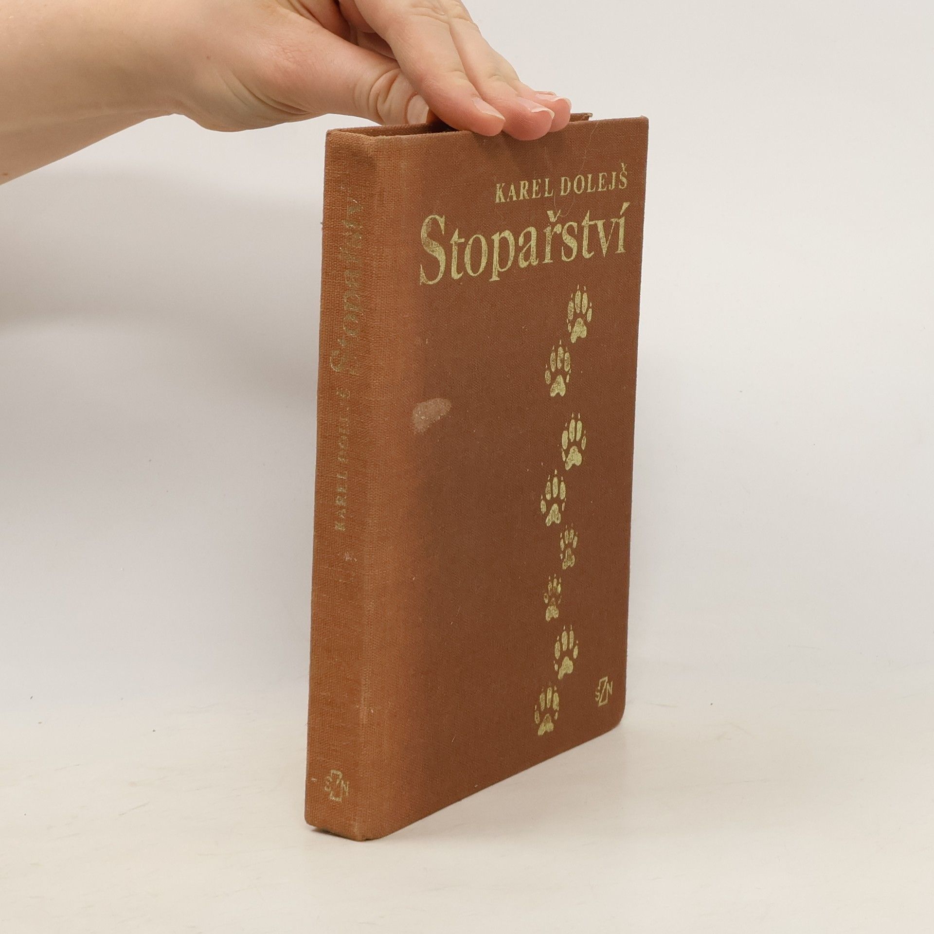 Karel Dolejš Stopařství