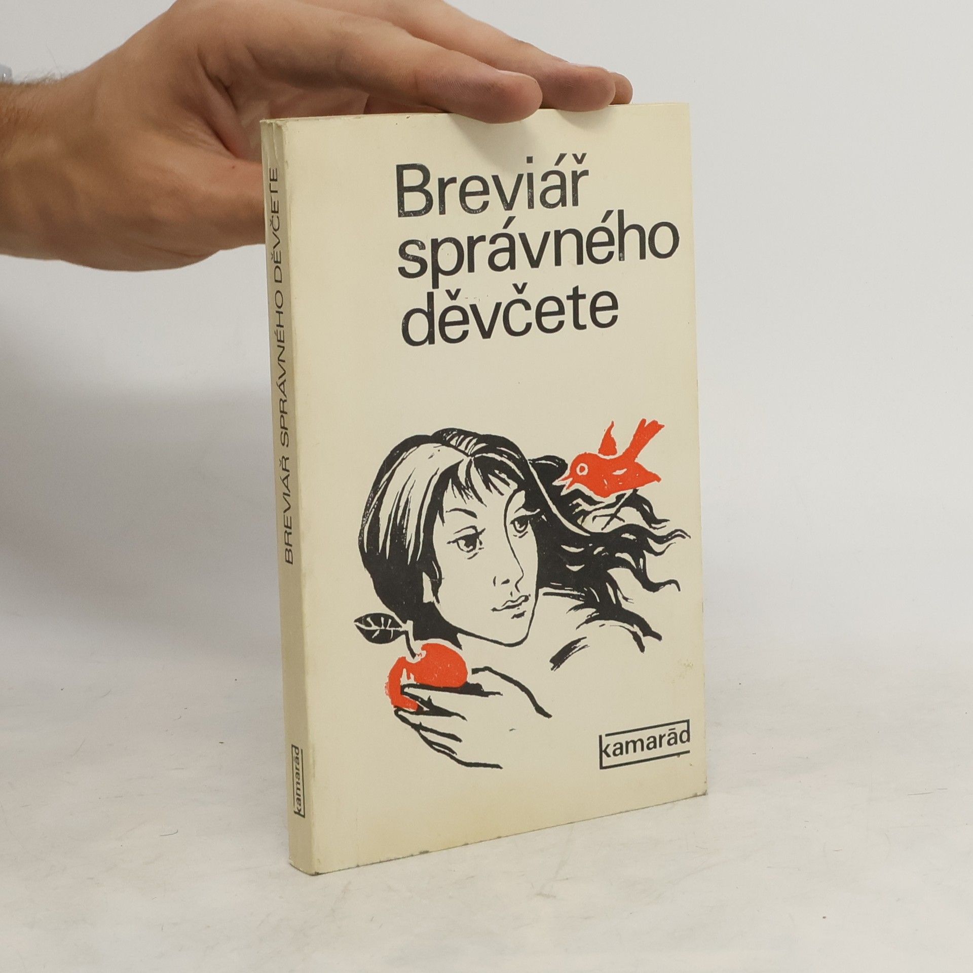 Dita Hajná Breviář správného děvčete
