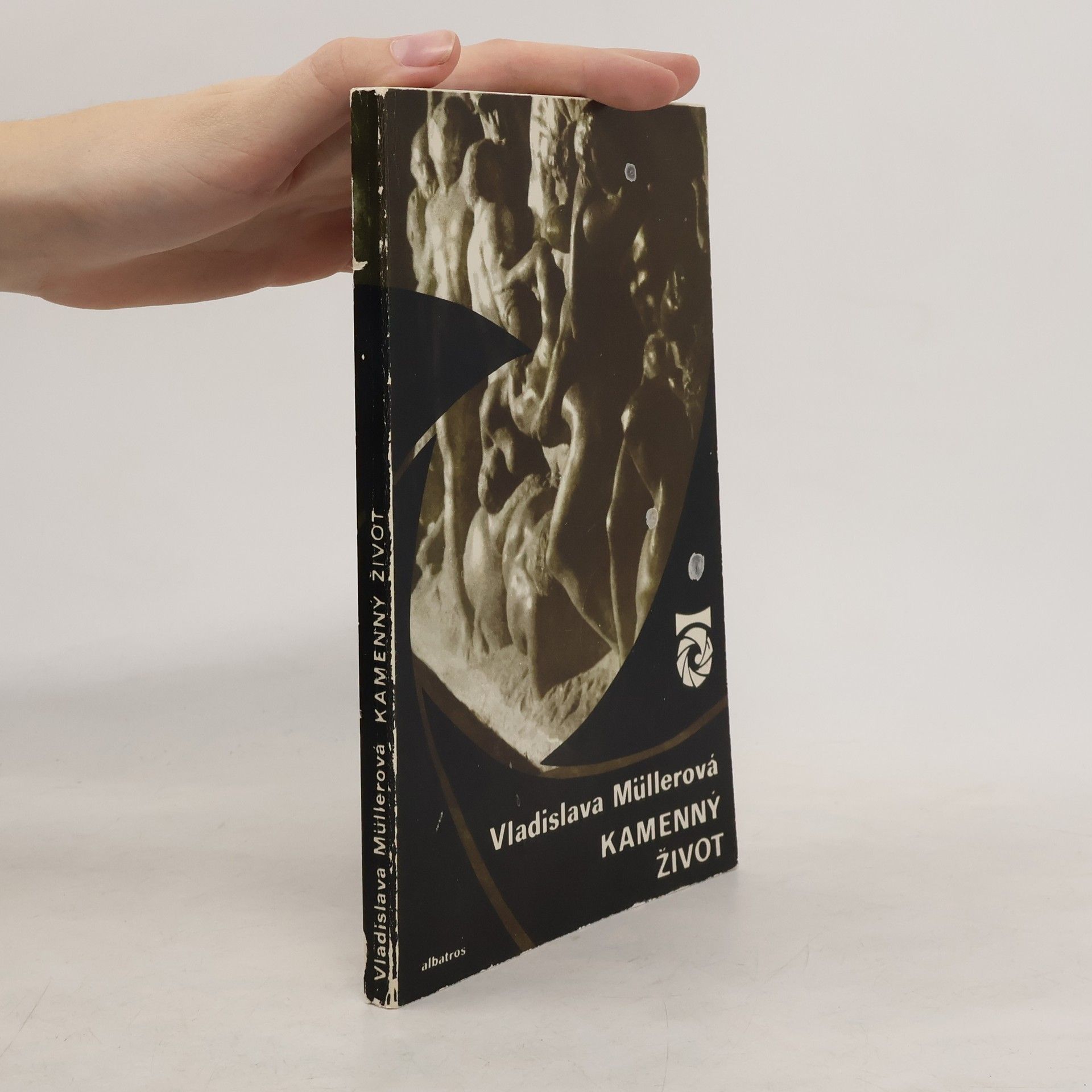 Vladislava Müllerová Kamenný život