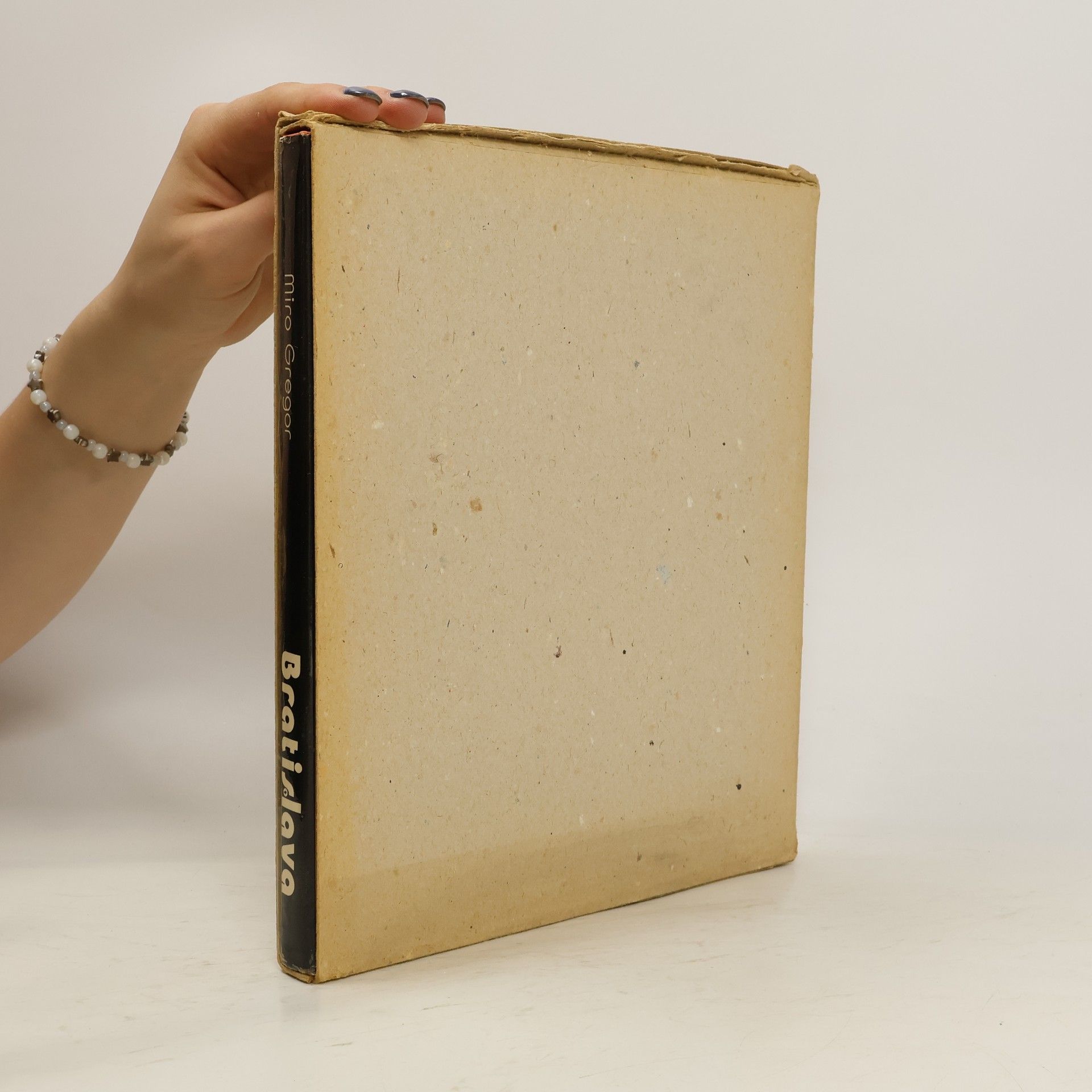 Miro Gregor Bratislava