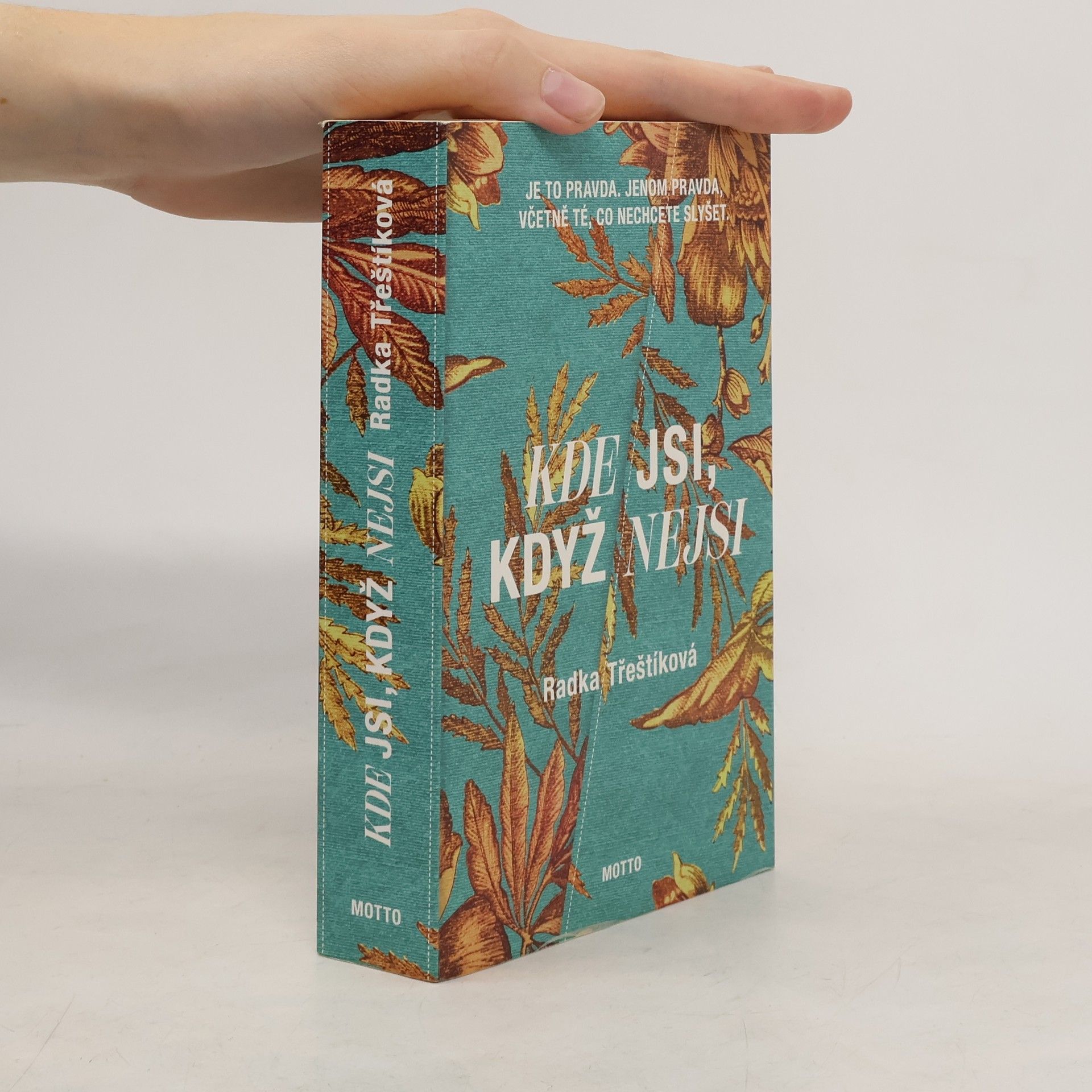 Radka Třeštíková Kde jsi, když nejsi