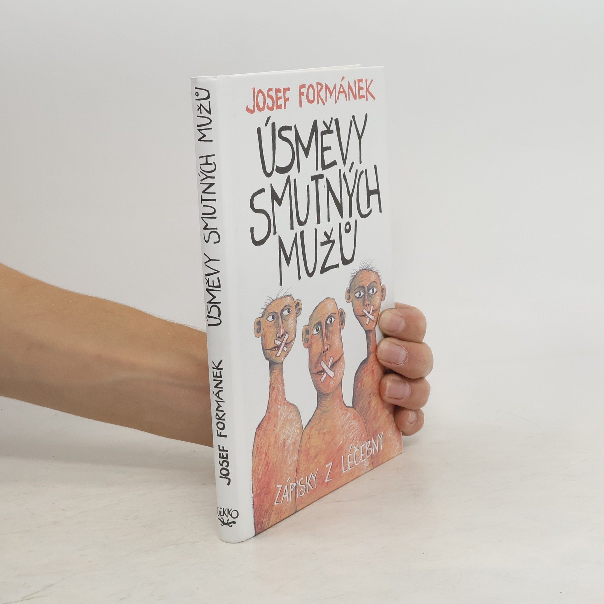 Úsměvy smutných mužů. Zápisky z léčebny