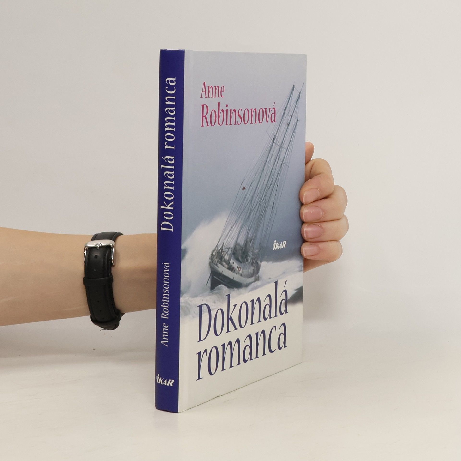 Anne Robins Dokonalá romanca